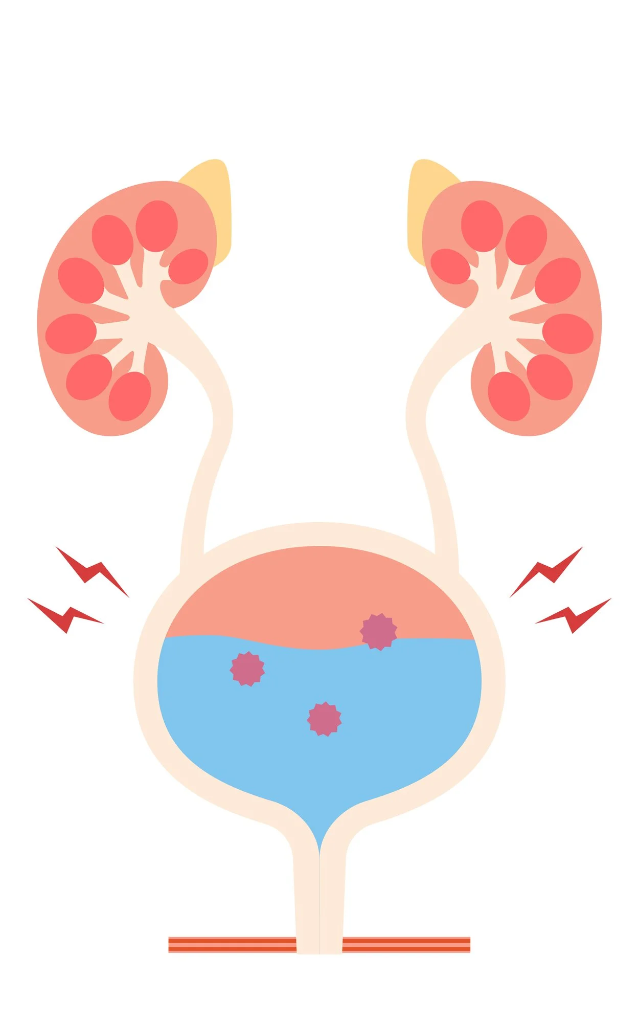 Acupuncture for Urinary Issues