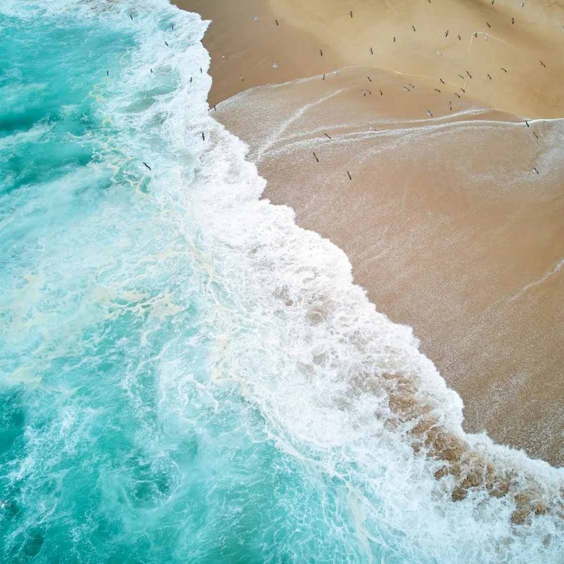 Case Study: UN Ocean Reports