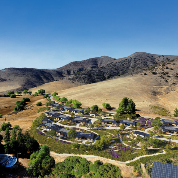 Case Study: Camp Alonim