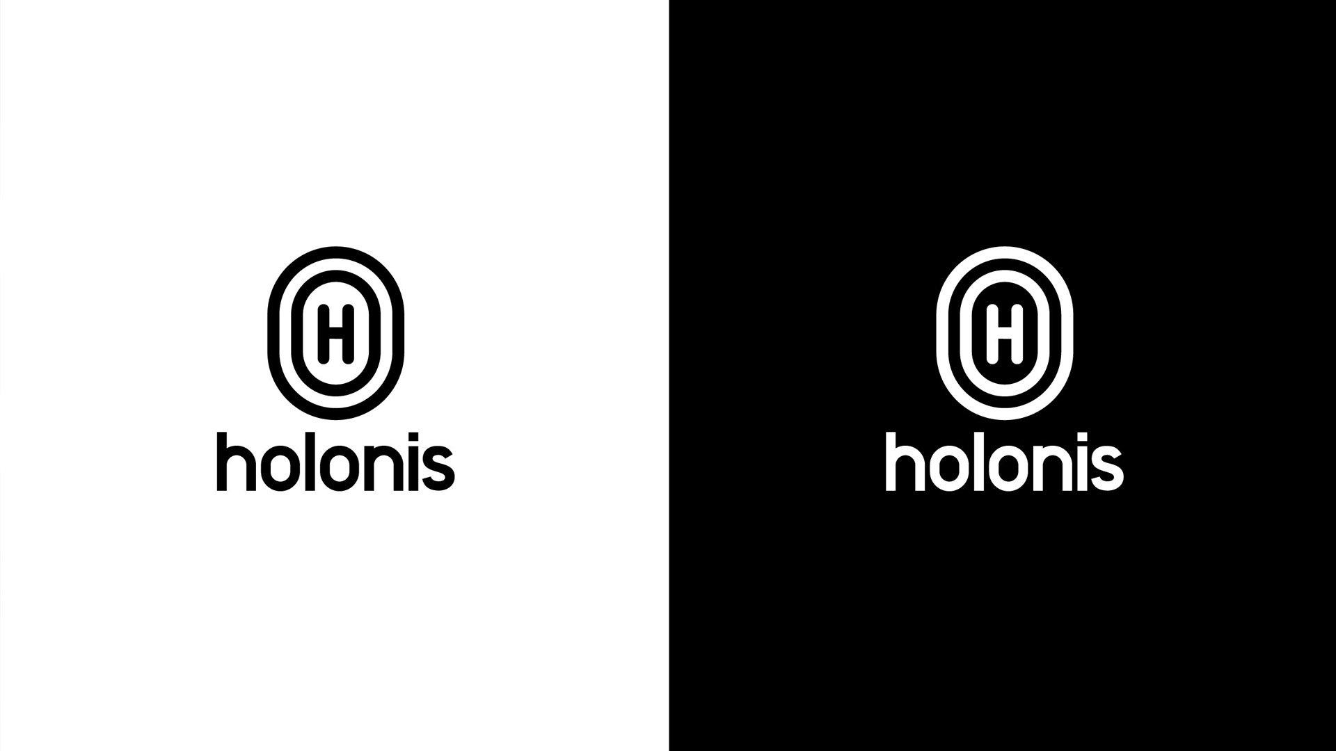 Holonis identity