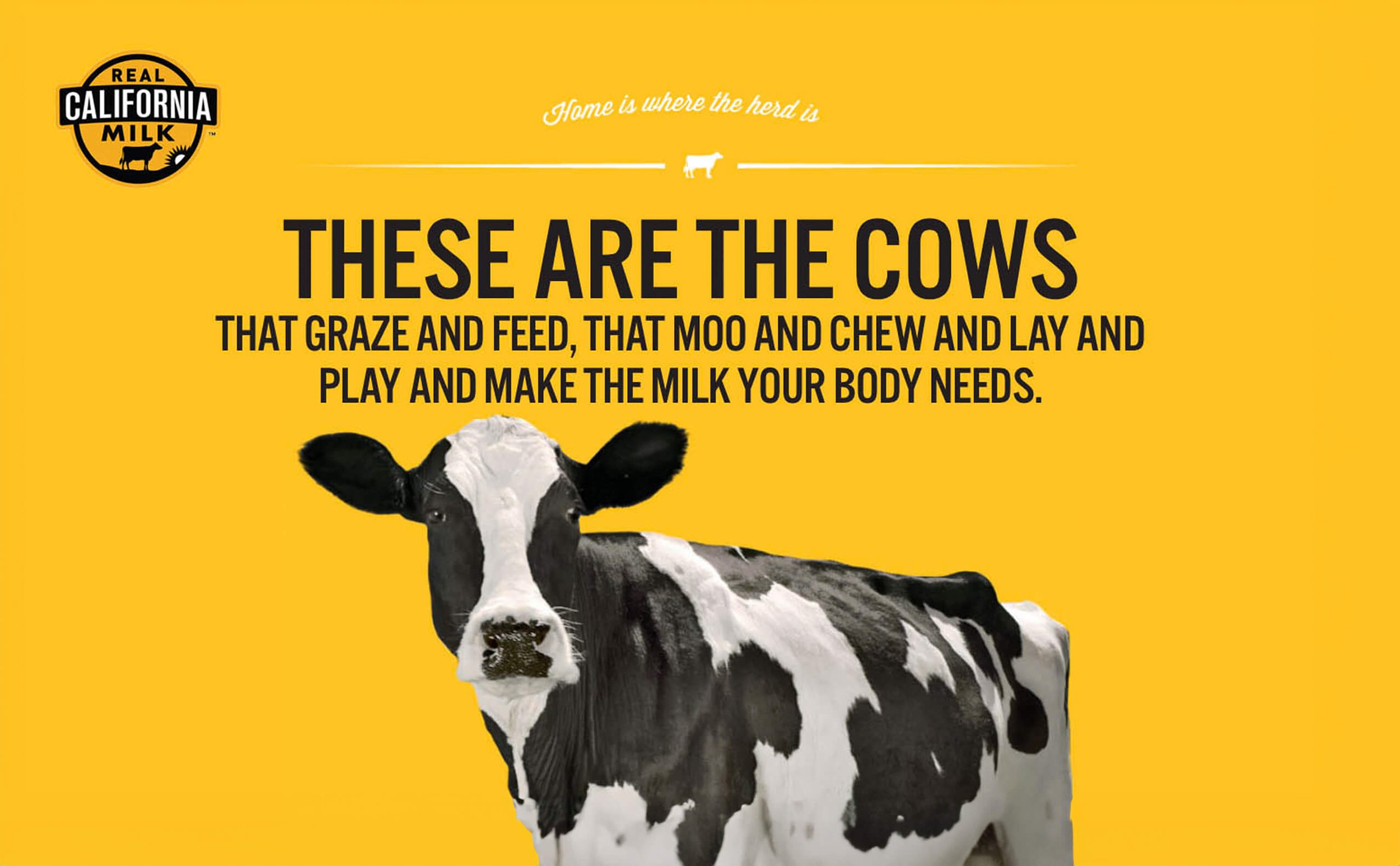 Real California Milk UX/UI