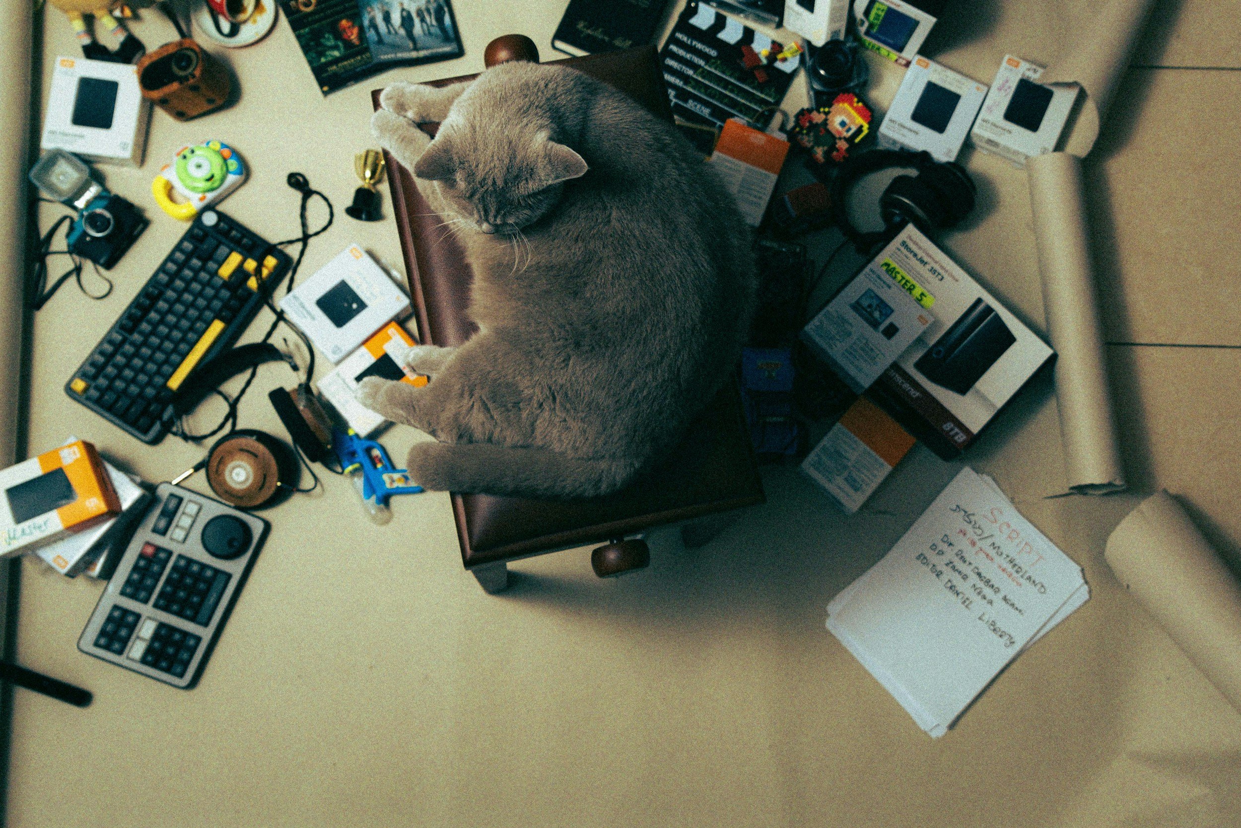 Emotional Clutter: What It Is and Why You Might Be Carrying It
