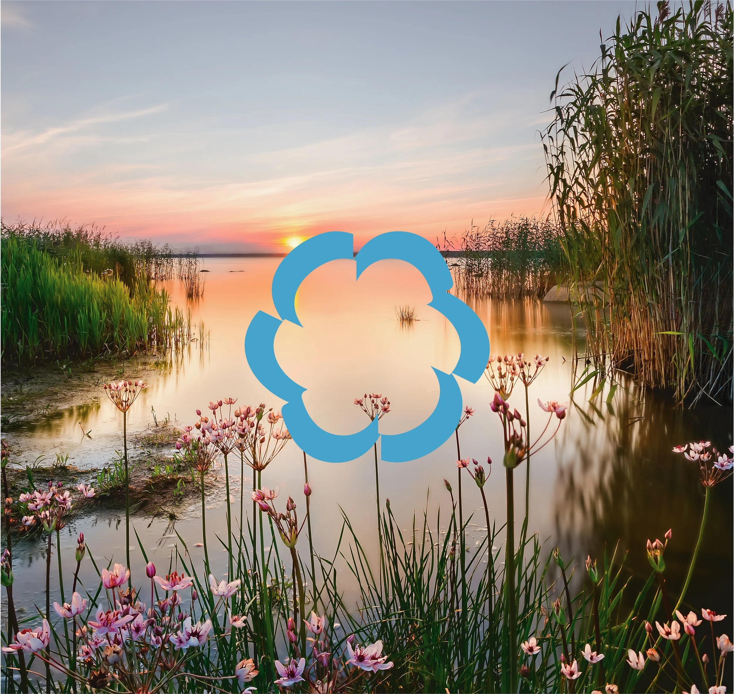 Sustainable Glossary 08 Non-user communities.jpg