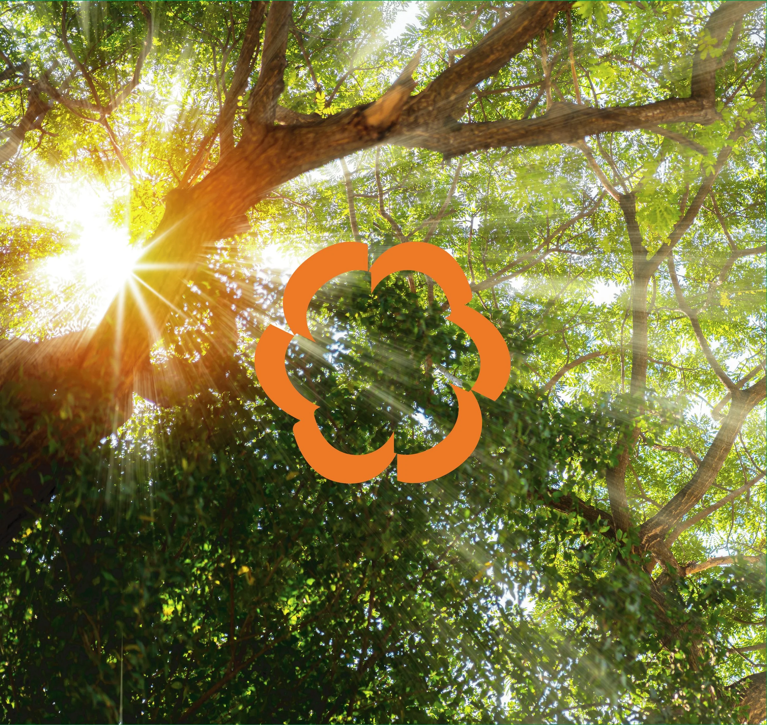 Sustainable Glossary 02 Regeneration.jpg