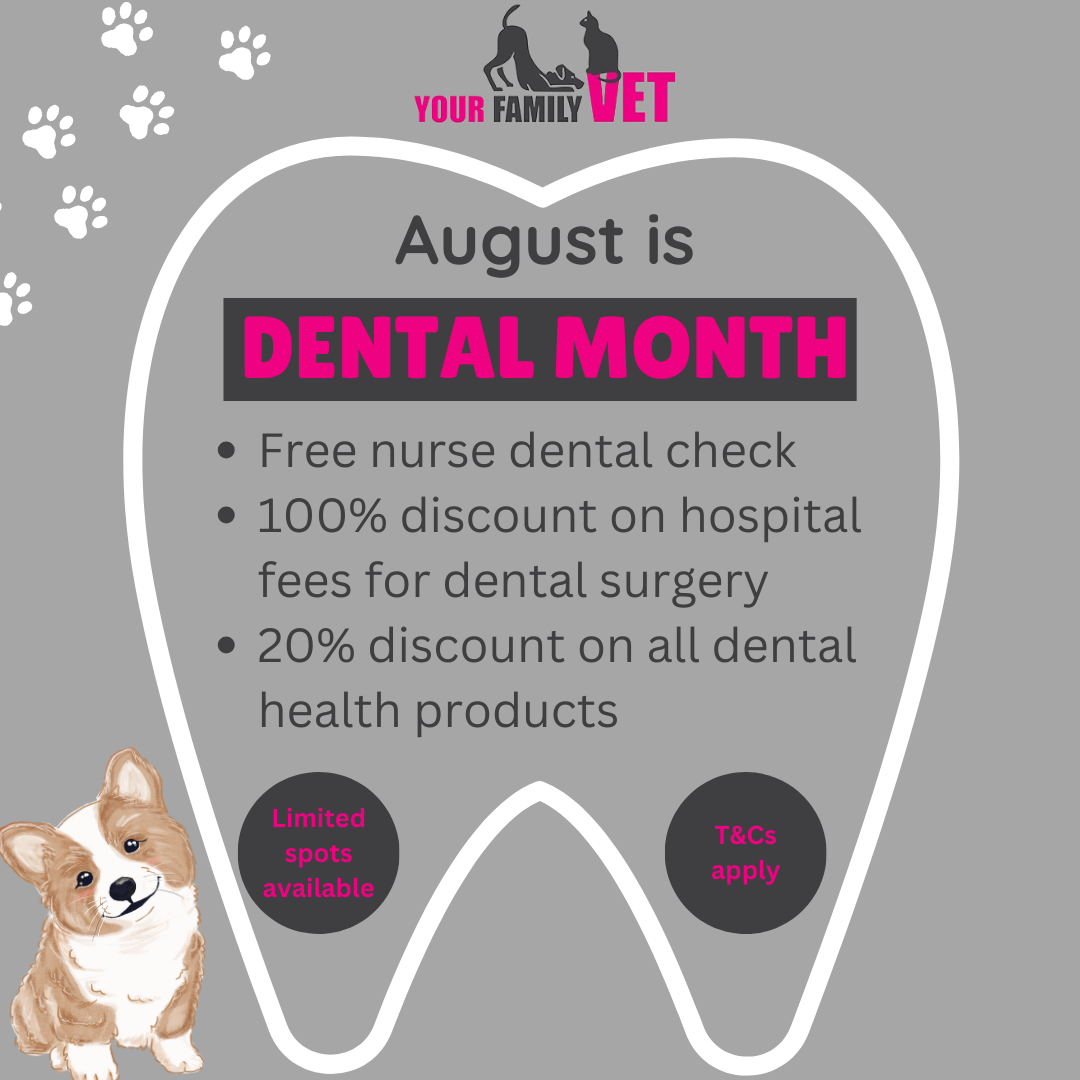 current-promotions-your-family-vet