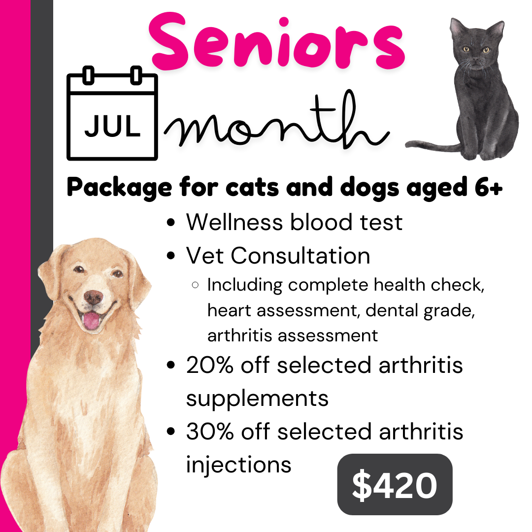 CURRENT PROMOTIONS — Your Family Vet