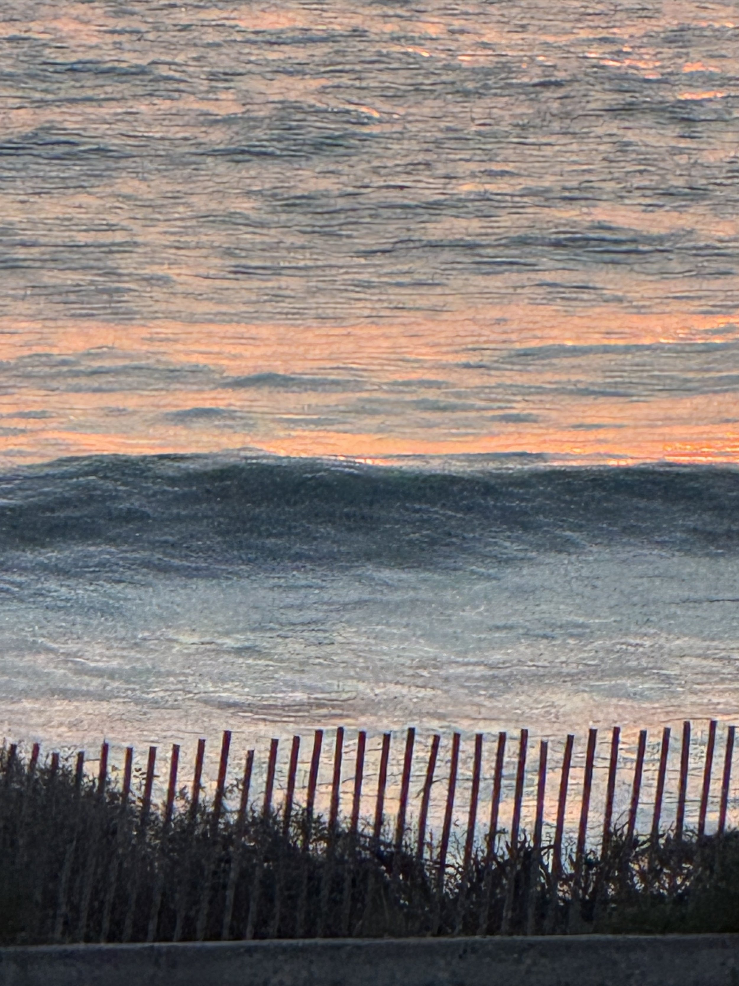 IMG_6364.jpeg