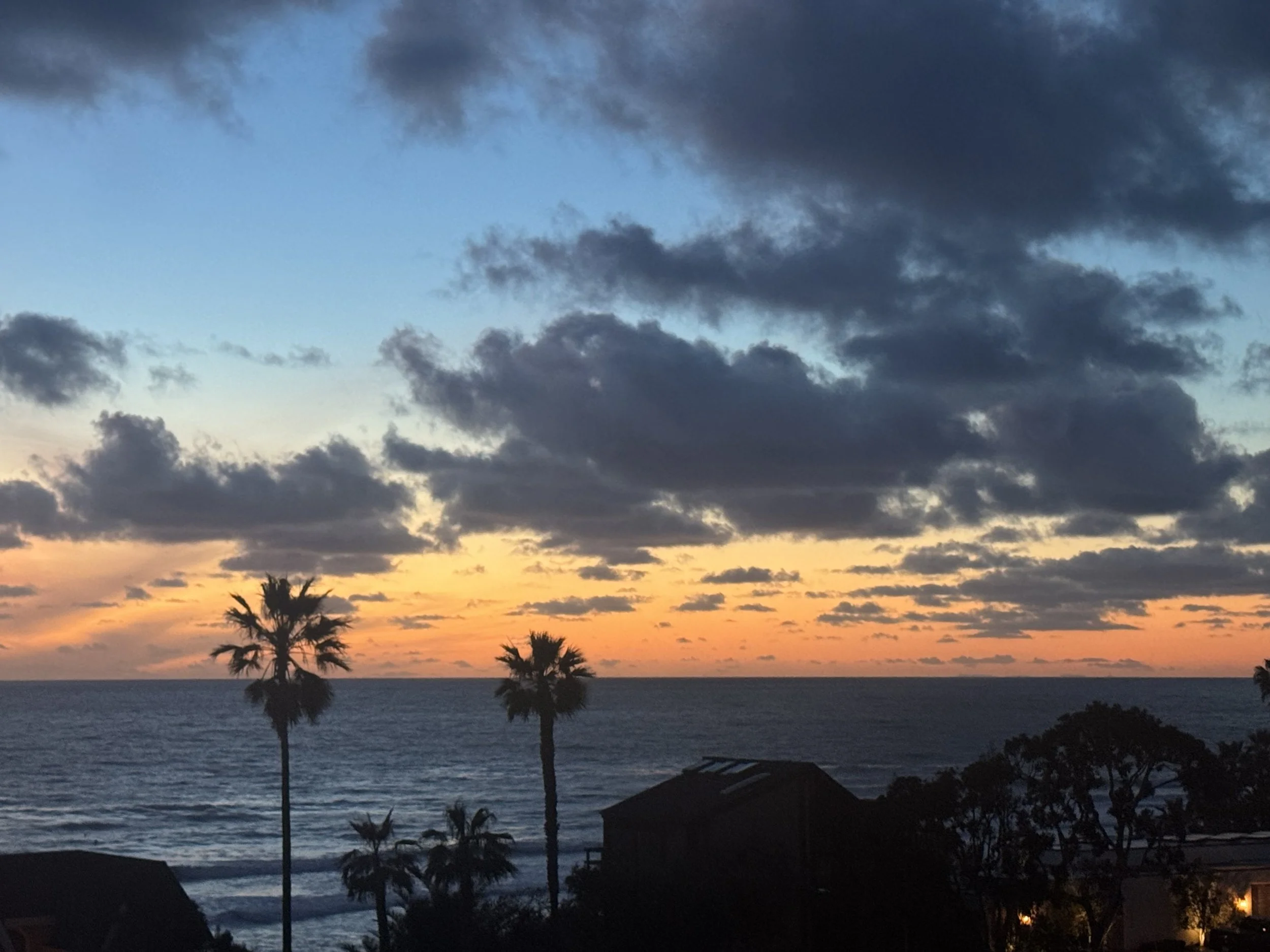 IMG_6711.jpeg