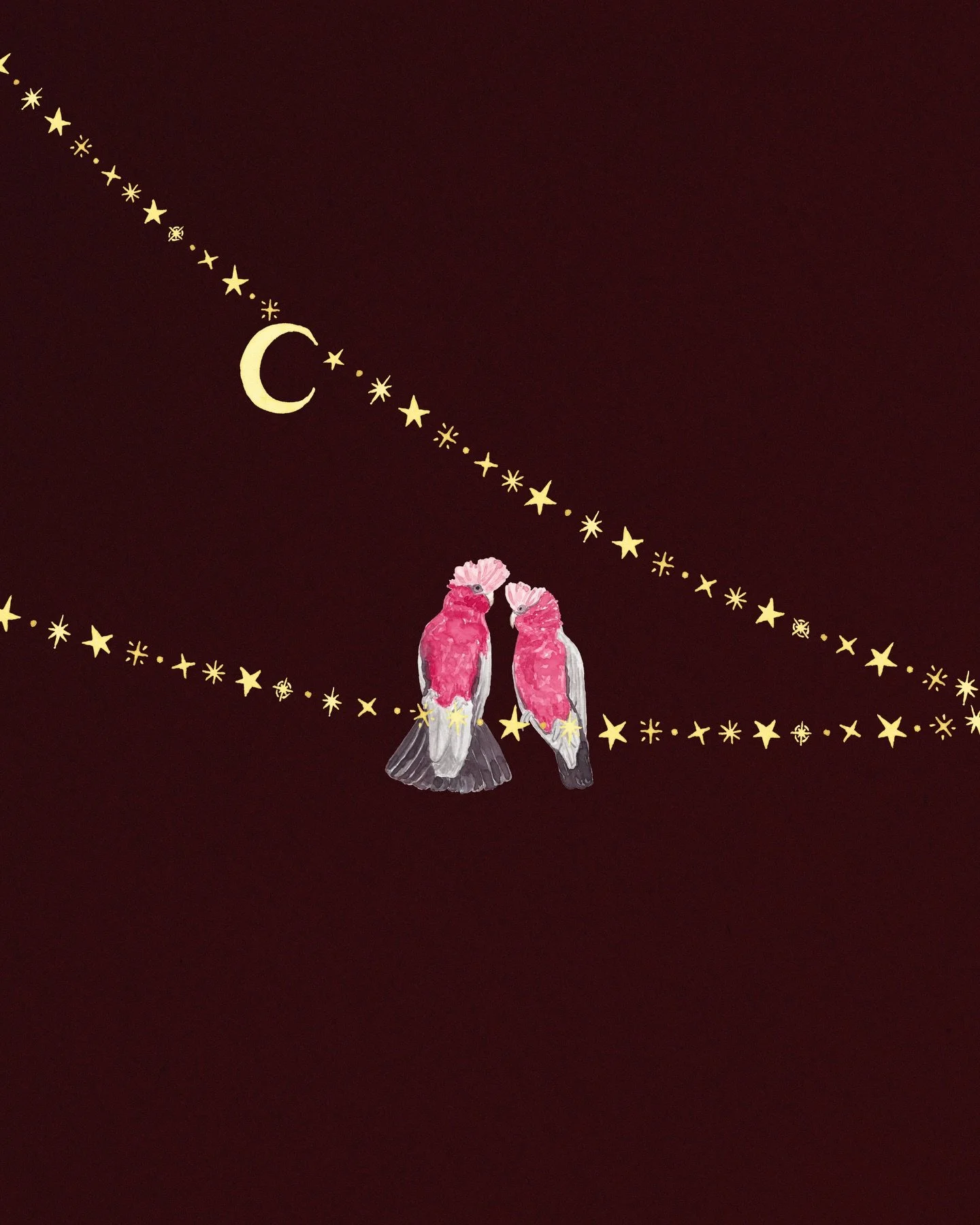 Hanging out among the stars ✨