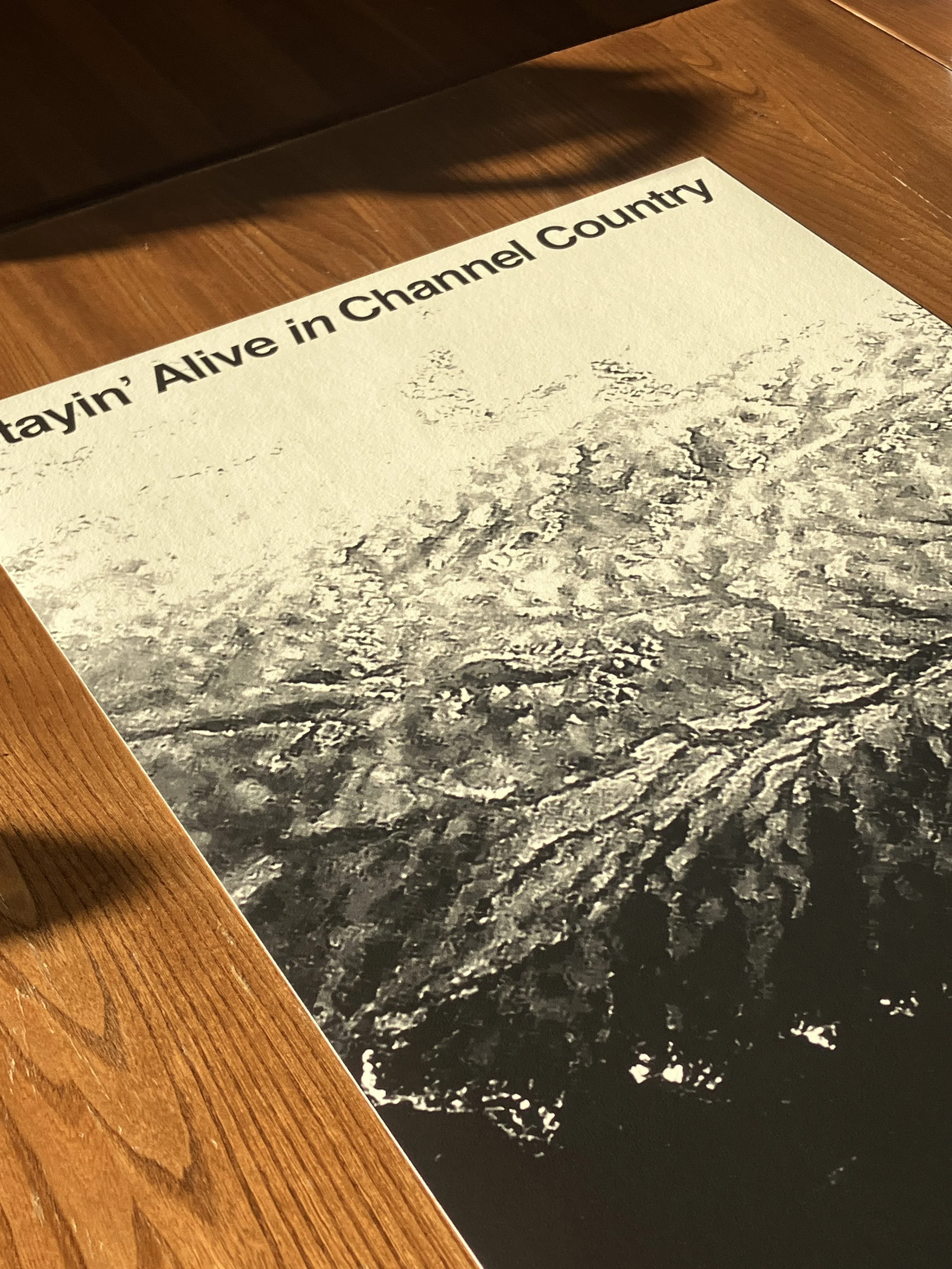 02 _ Kial Menadue _ Stayin Alive in Channel Country _ Poster  _ Store.JPG