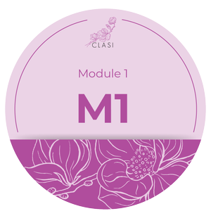 ASI Modules