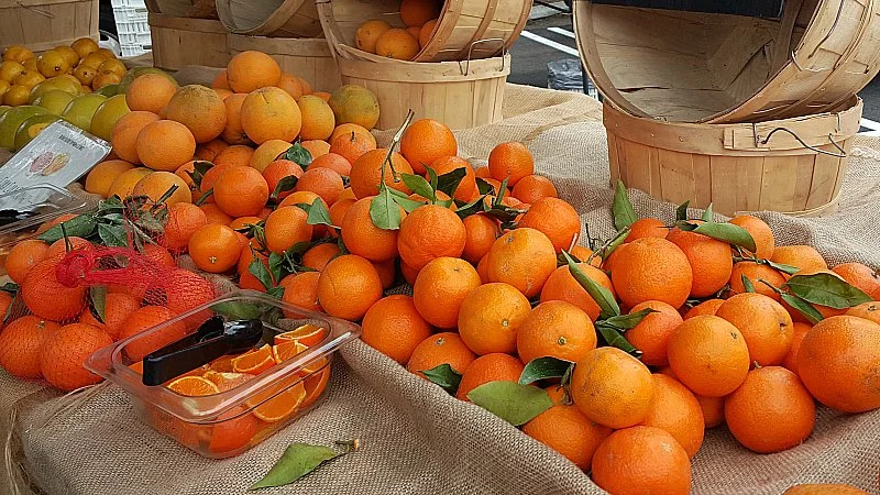 Farmer's Market Pop-Up