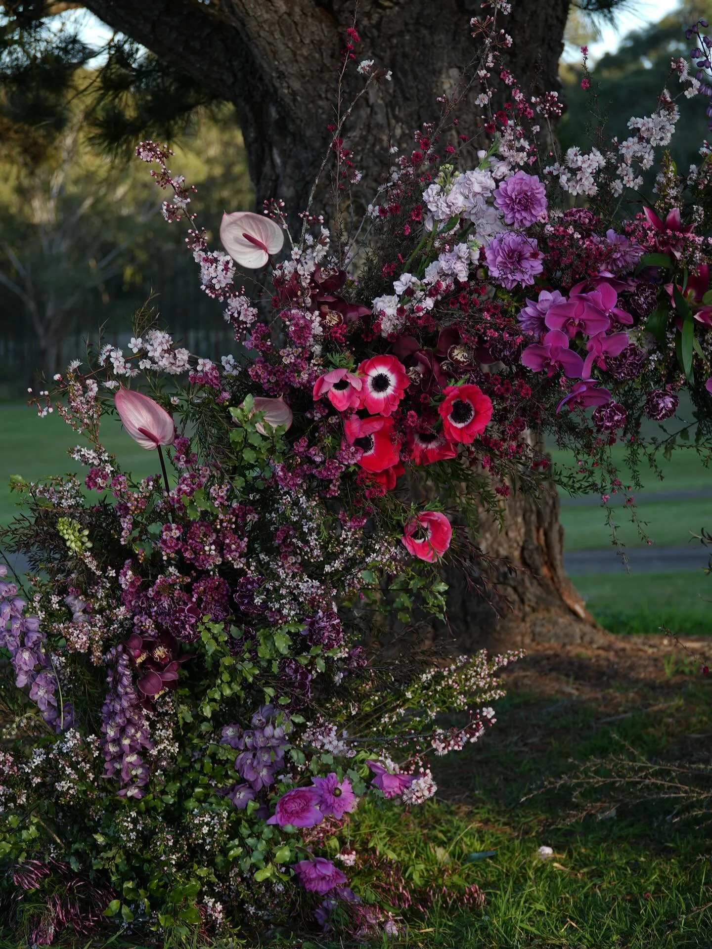 Our new low arbour added to our offerings 💞 

Let&rsquo;s create some magical florals for your special day 👀

Enquire now for 2026 💌

🌸🌸🌸🌸🌸🌸🌸🌸🌸🌸🌸

paperdaizyfloraldesign.com.au

🌸🌸🌸🌸🌸🌸🌸🌸🌸🌸🌸