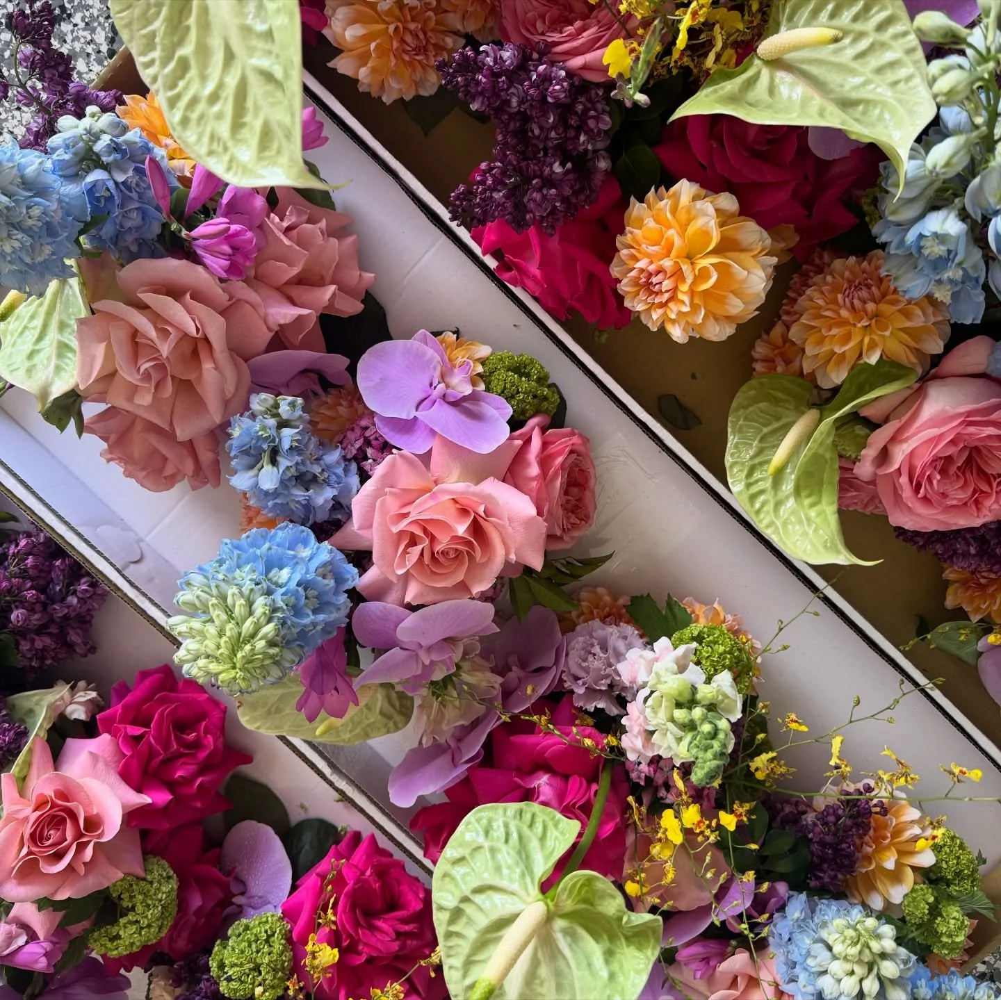 This is your sign to choose bright flower clouds for your wedding or next event 🌈

SAVE for inspo 🔒

Enquire now for 2026/27 💌

🌸🌸🌸🌸🌸🌸🌸🌸🌸🌸🌸

paperdaizyfloraldesign.com.au

🌸🌸🌸🌸🌸🌸🌸🌸🌸🌸🌸

#sydneywedding #sydneyflorist #camdenwed
