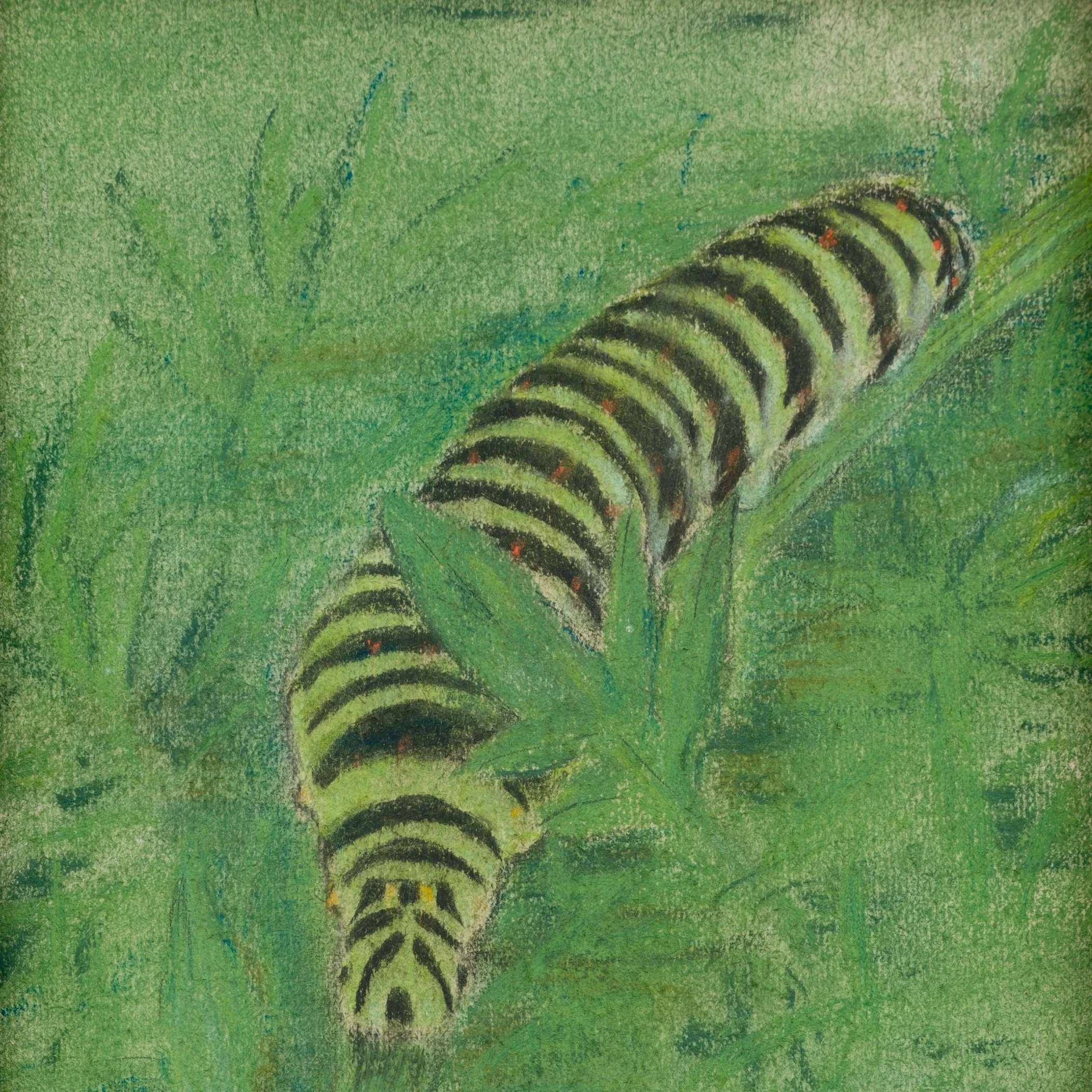 Schilderwerken Frans Copijn | Jeugdwerk