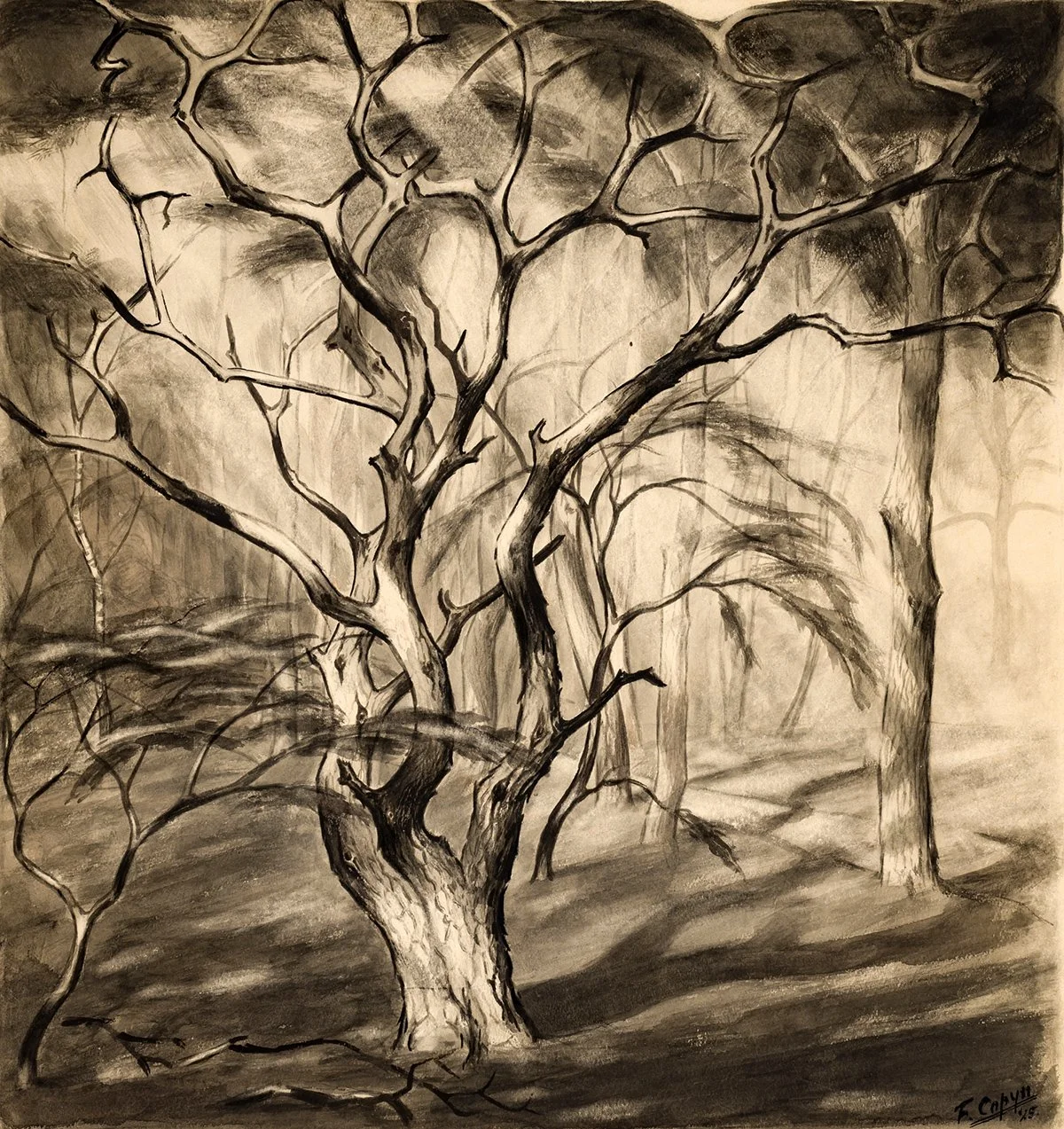 Frans Copijn Schilderij Studiewerk | Bomen