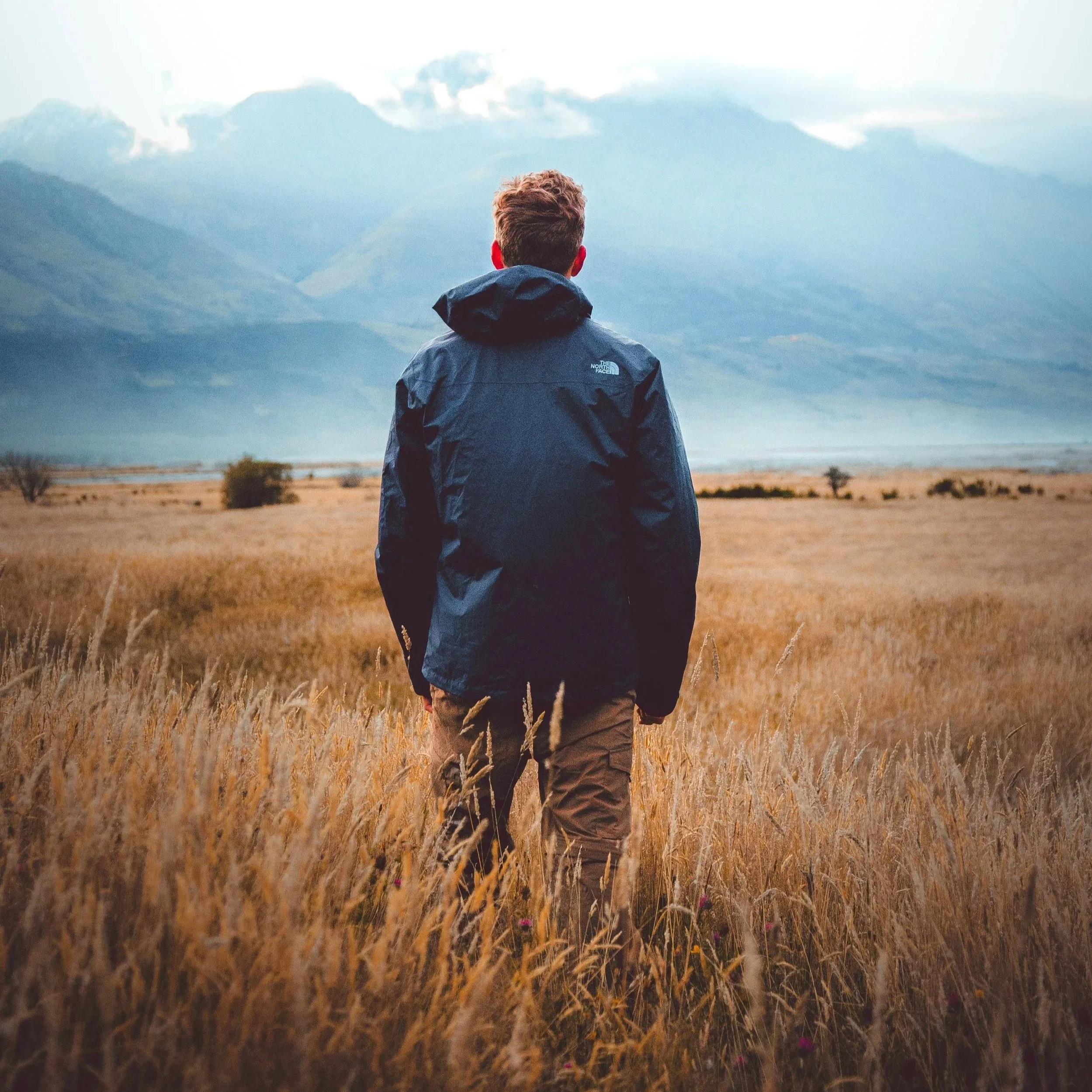 Person standing in a field of tall, golden grasses during sunset, facing distant mountains with cloudy sky.