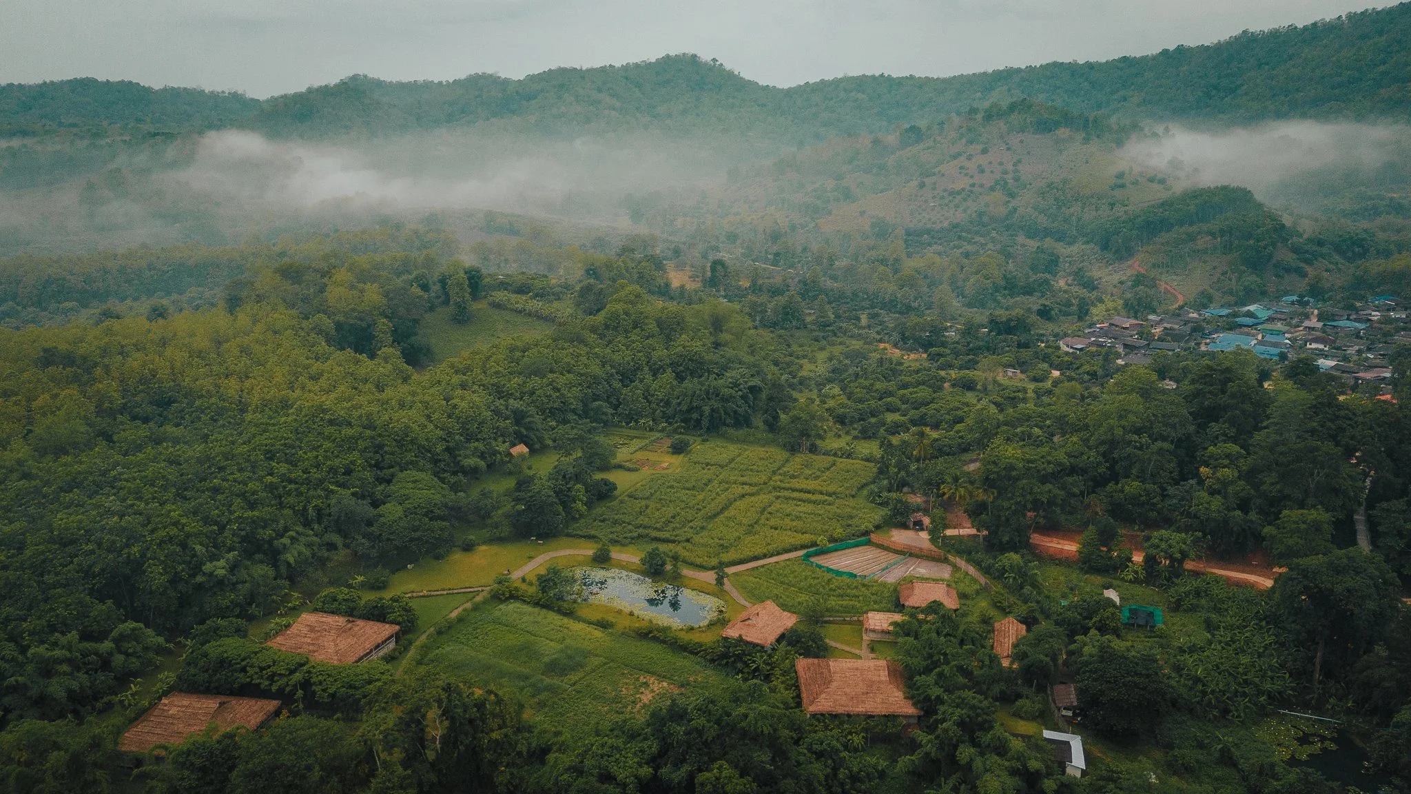 DJI_20240602074326_0156_D.jpg