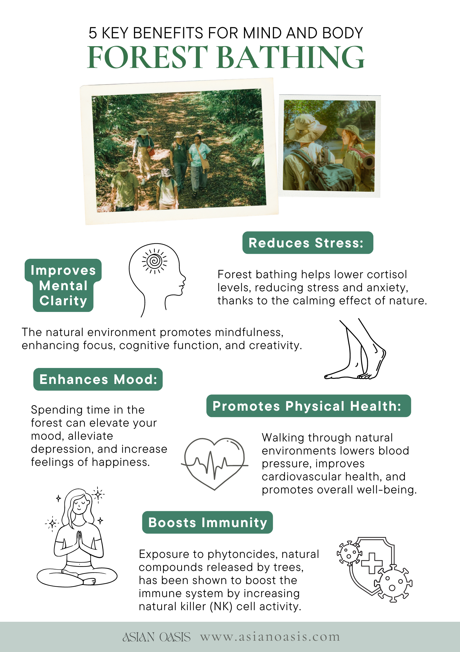 Forest Bathing in Chiang Mai — Asian Oasis