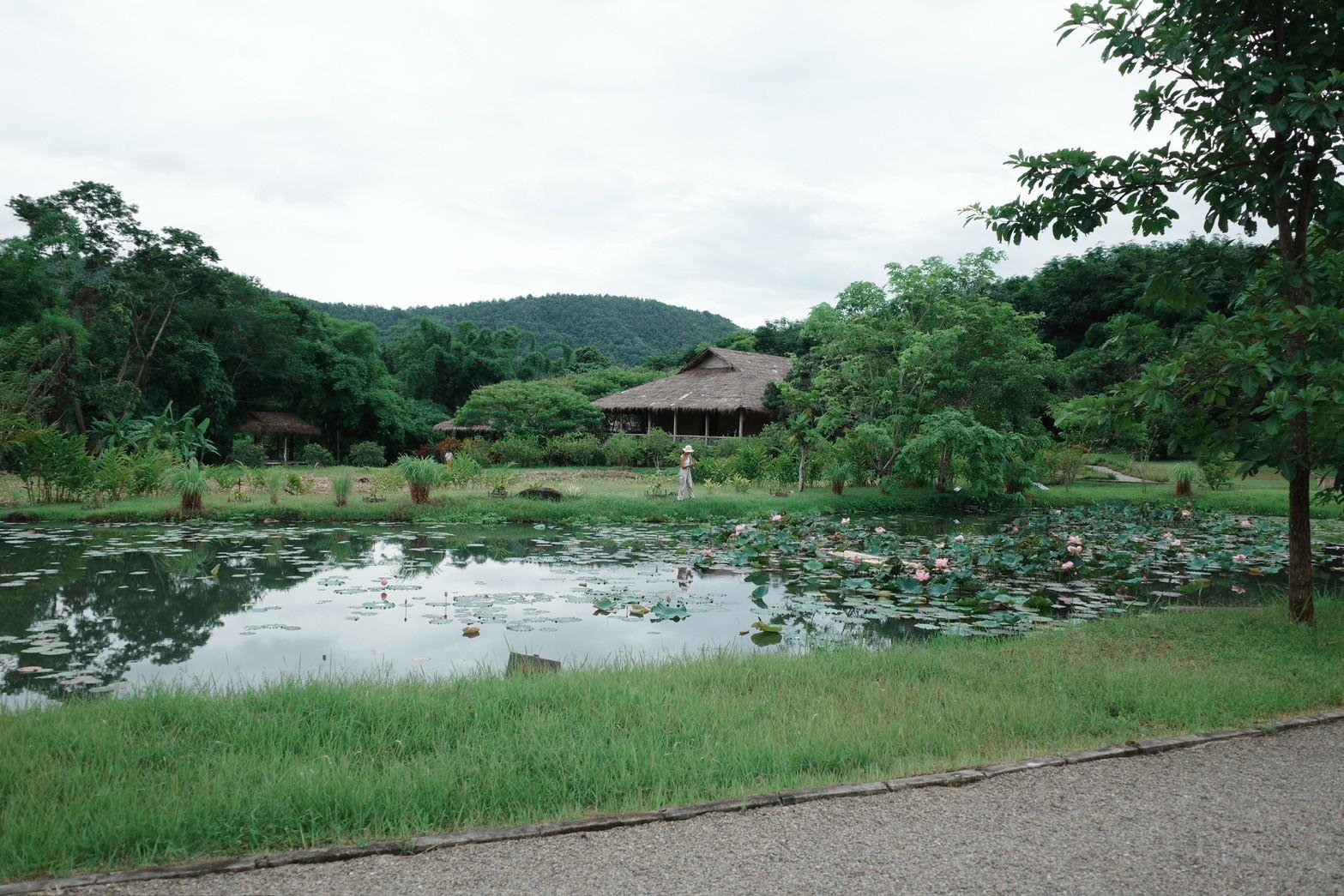 Green Season in Thailand: The Season You'll Fall For