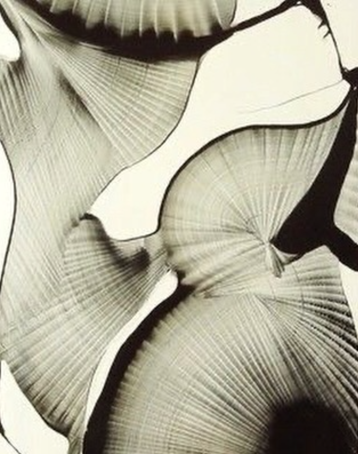 Screenshot 2025-04-22 114539.png