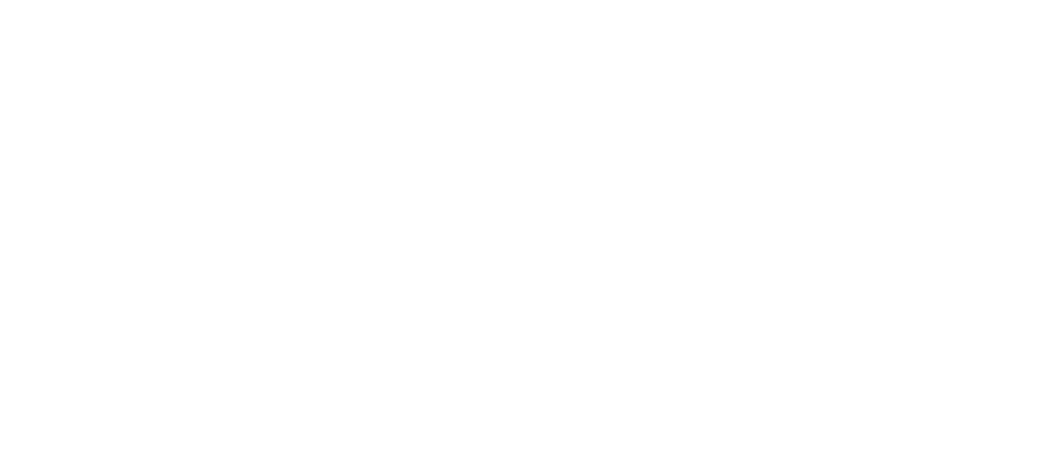 H MORRIS GROUP