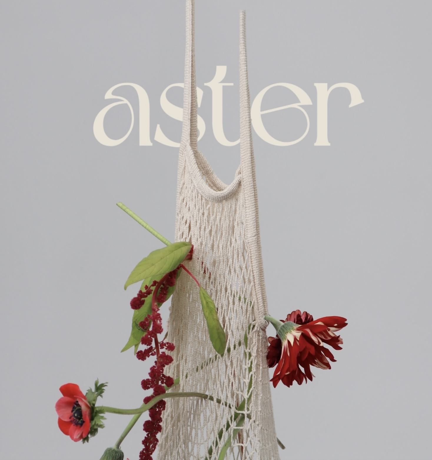 ASTER