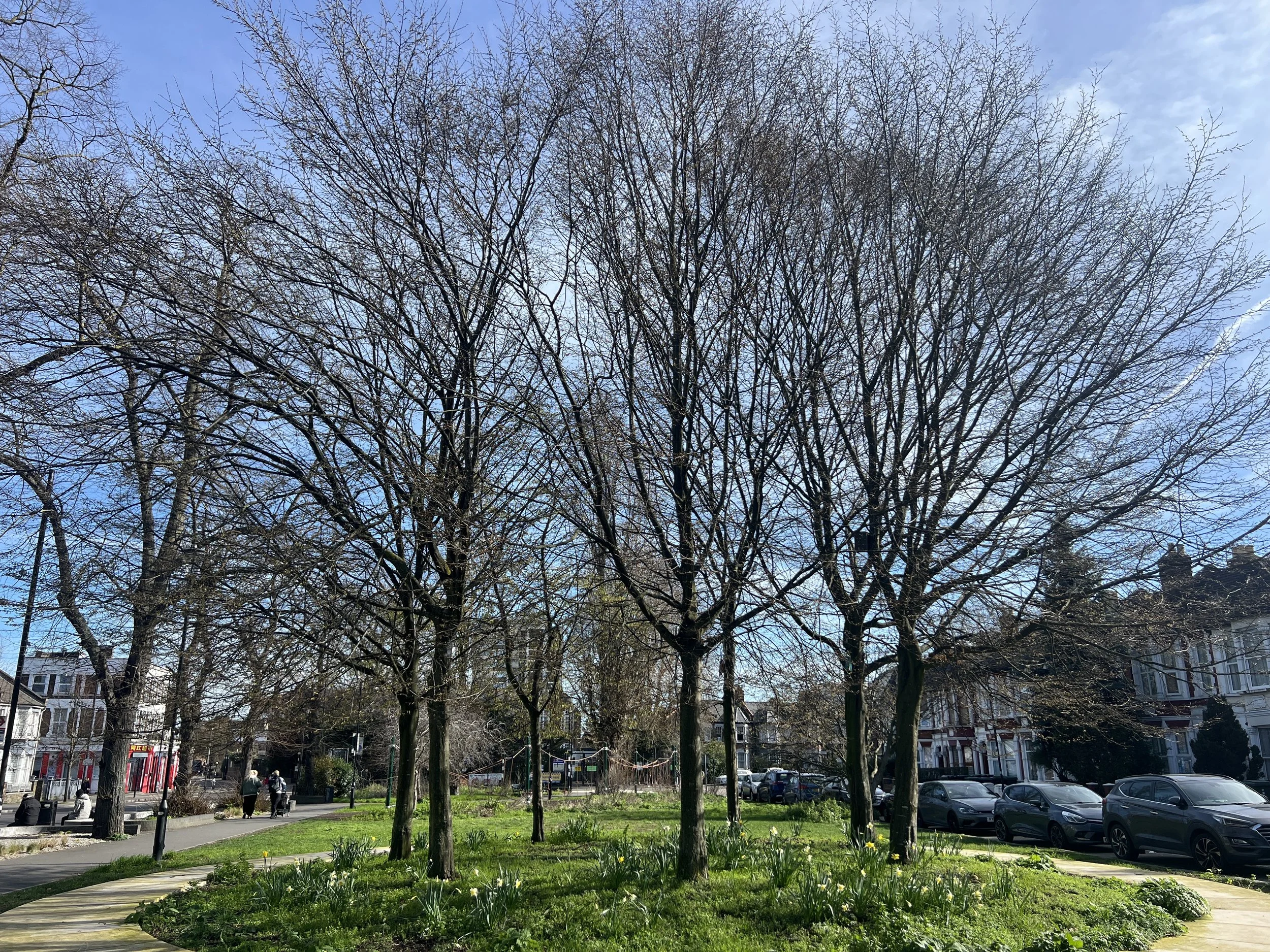 Sounds of Seven Sisters