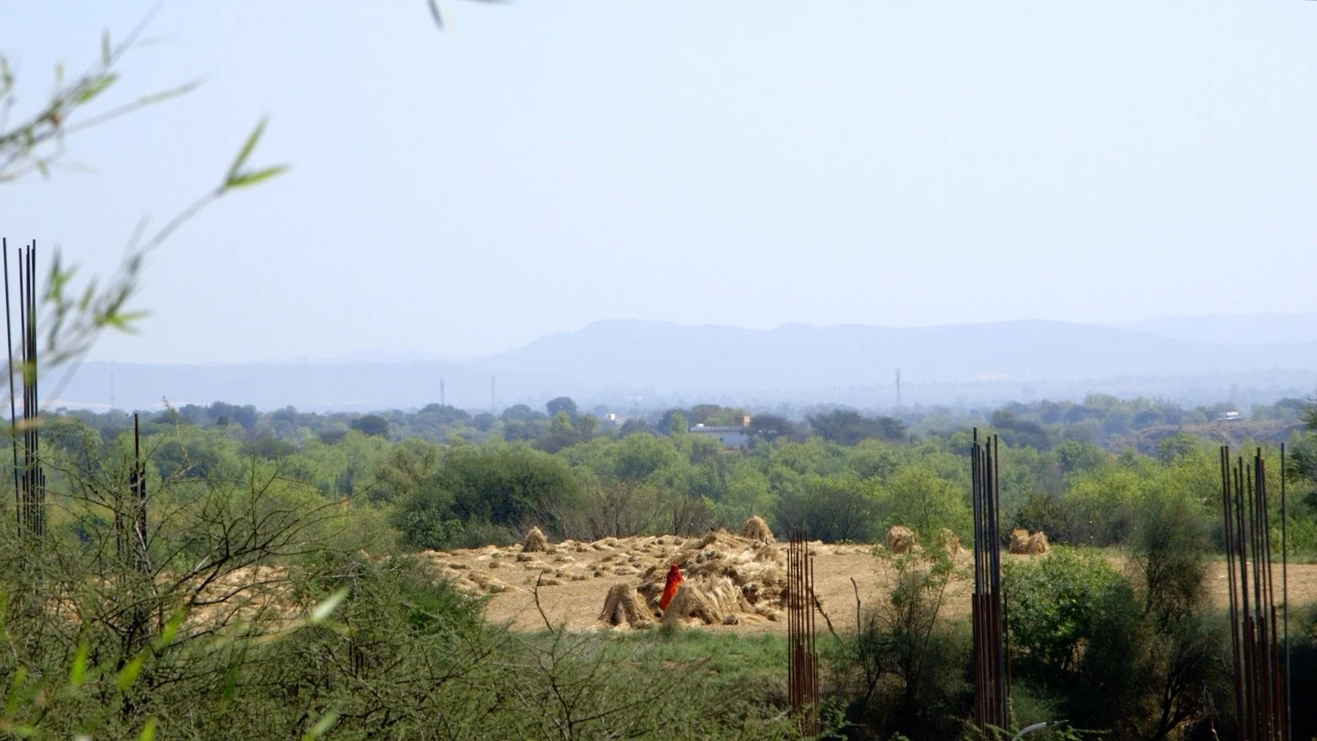 2506_OppiIndia25_2.jpg