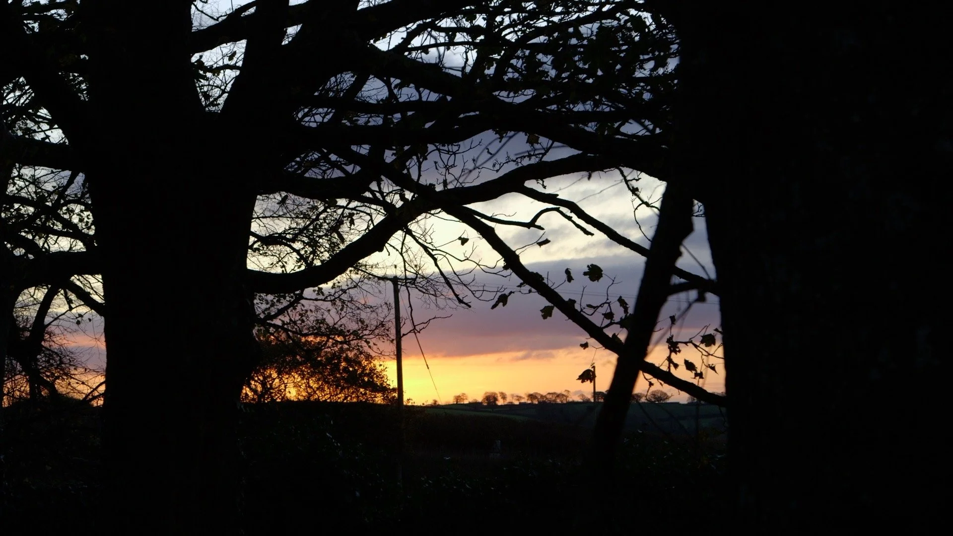 The Bus Shelter Nativity