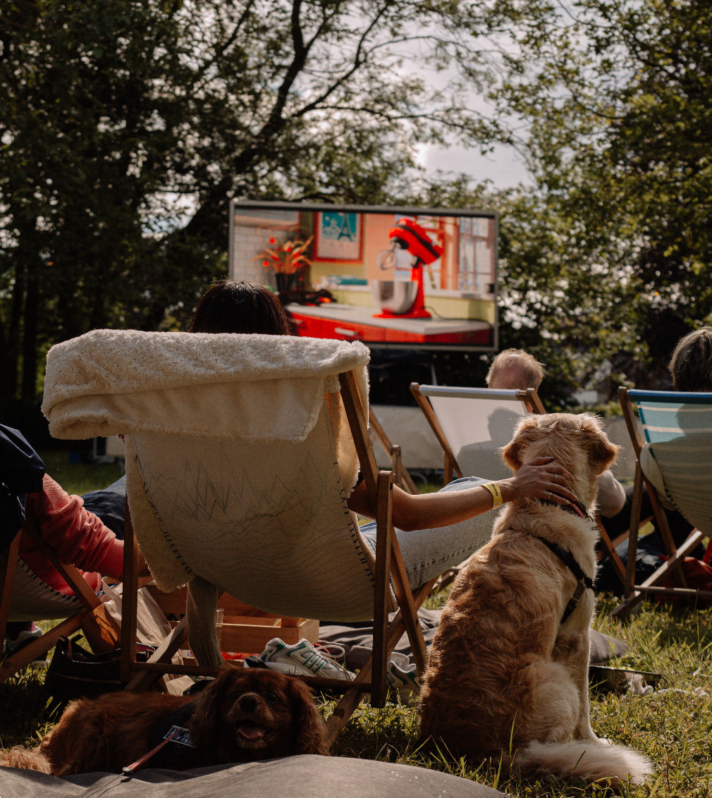 OPEN AIR DOG CINEMA 2025