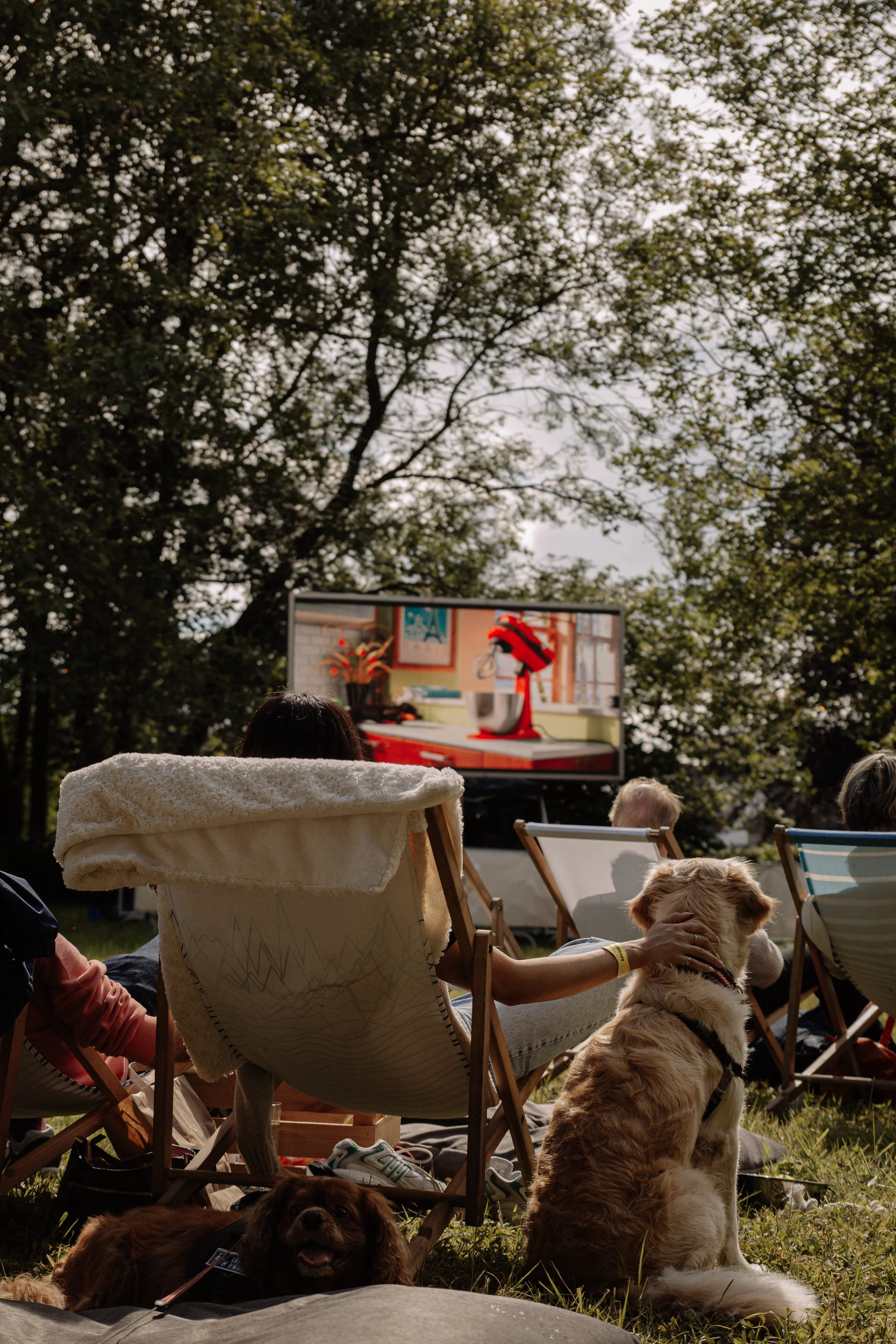 OPEN AIR DOG CINEMA 2026 @ BARK PARK HONDENFESTIVAL