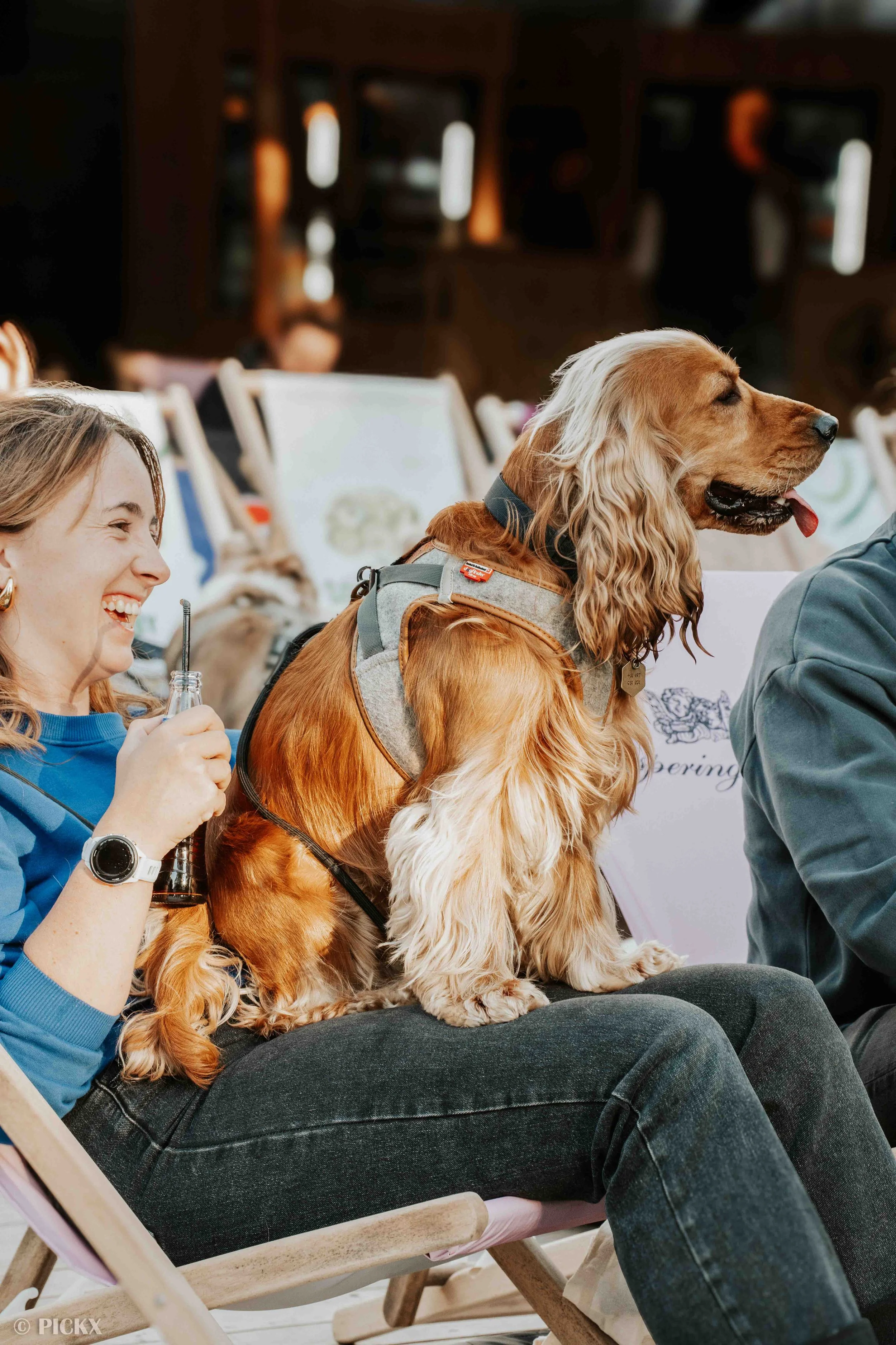 OPEN AIR DOG CINEMA 2026 @ BAR BROEK MECHELEN