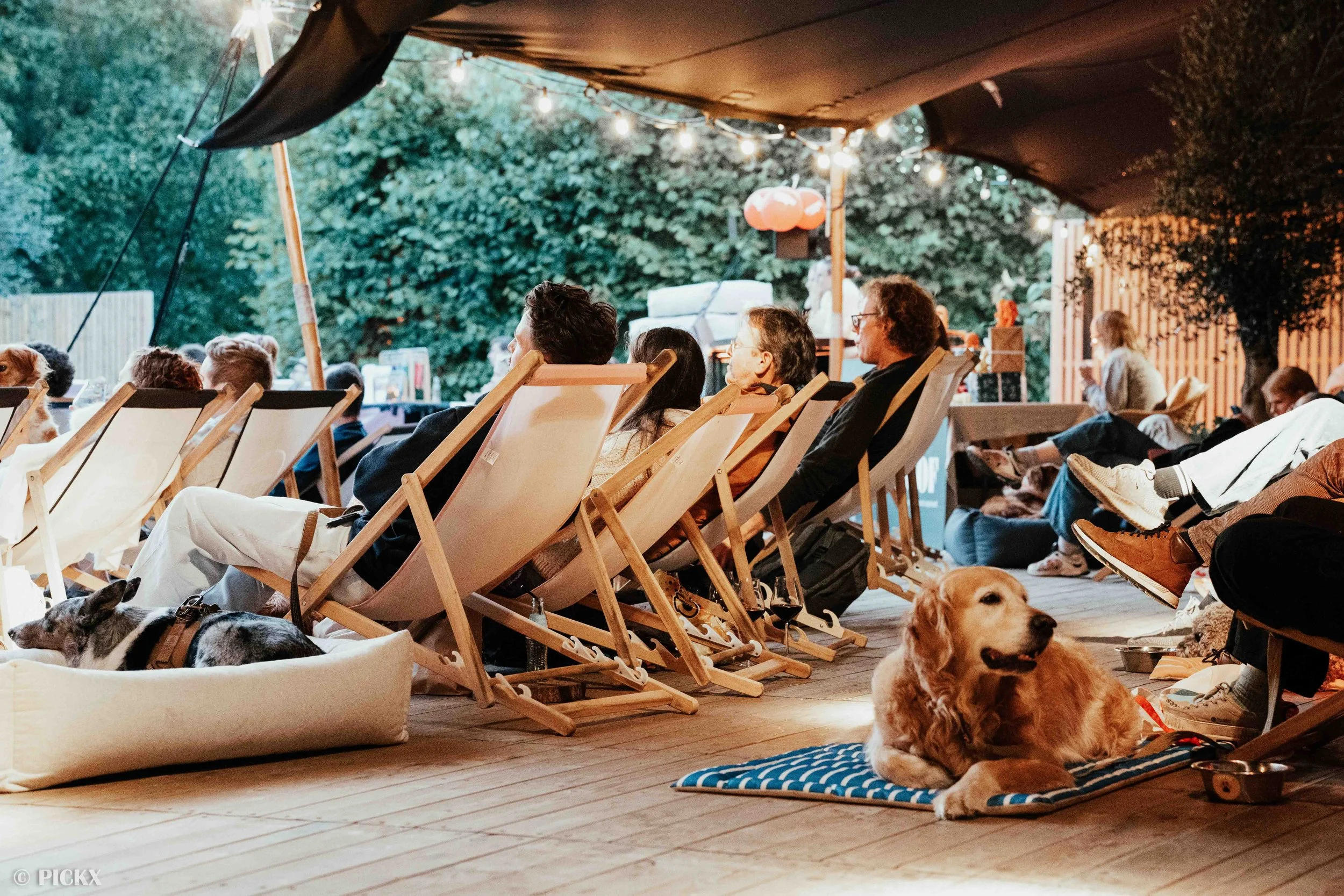 OPEN AIR DOG CINMEA 2026 @ GAZON GENT