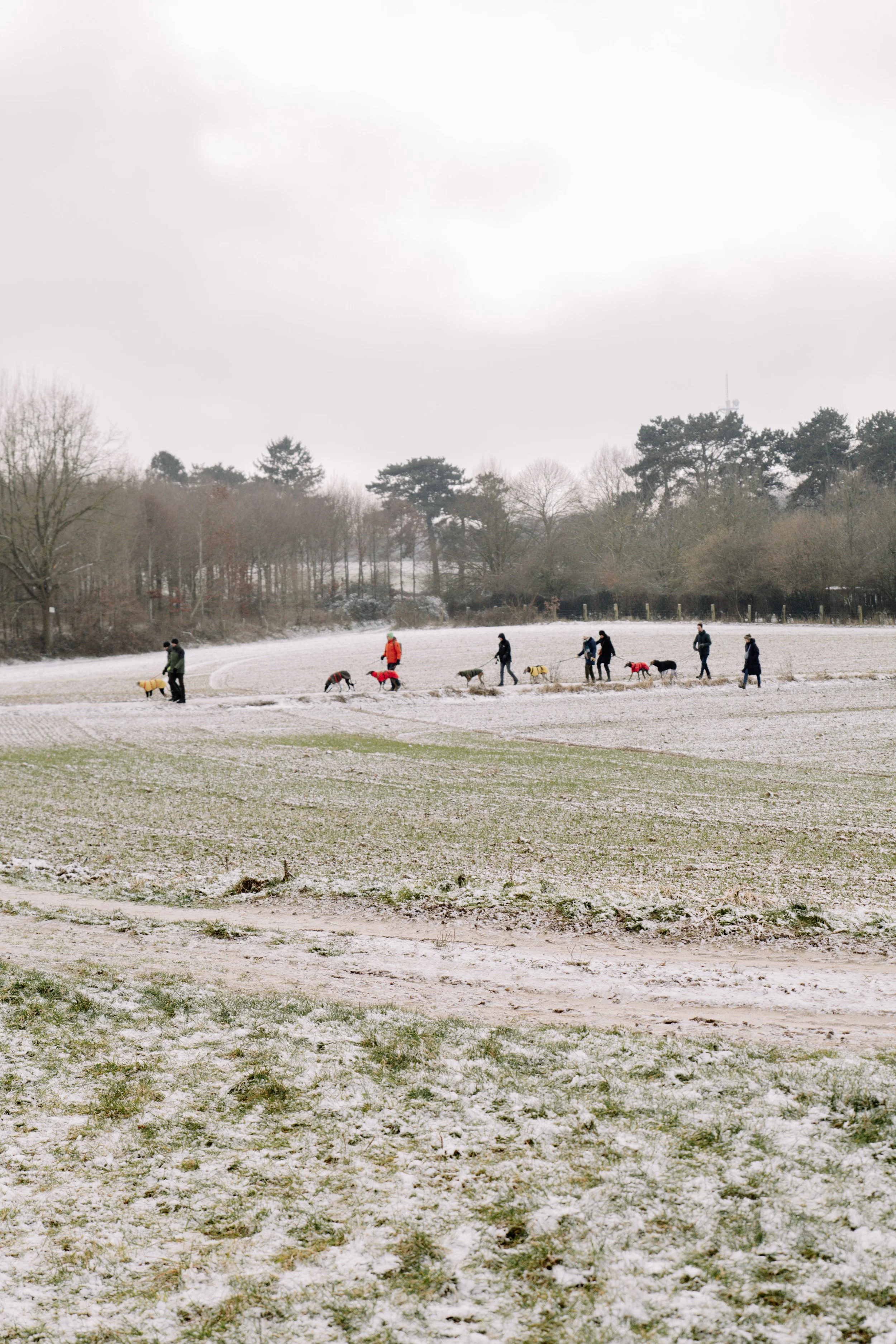 Nieuwjaar op pootjes 2026