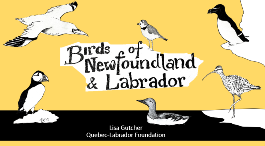 birds presentation.png
