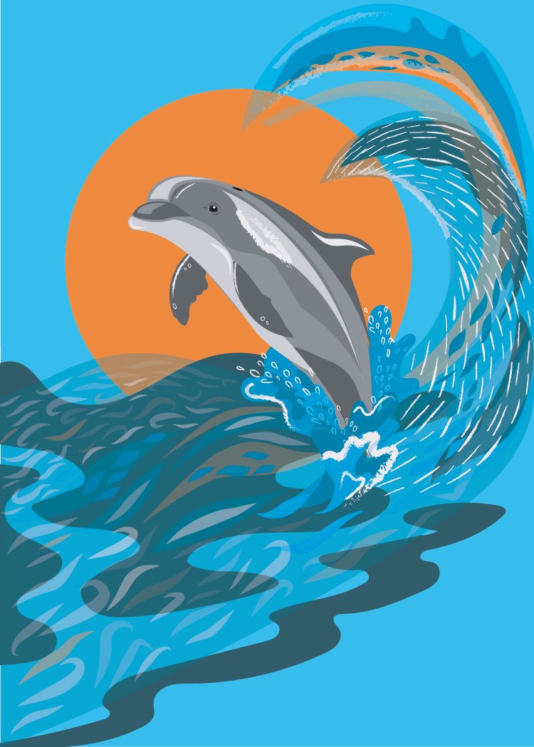 Bottlenose Dolphin