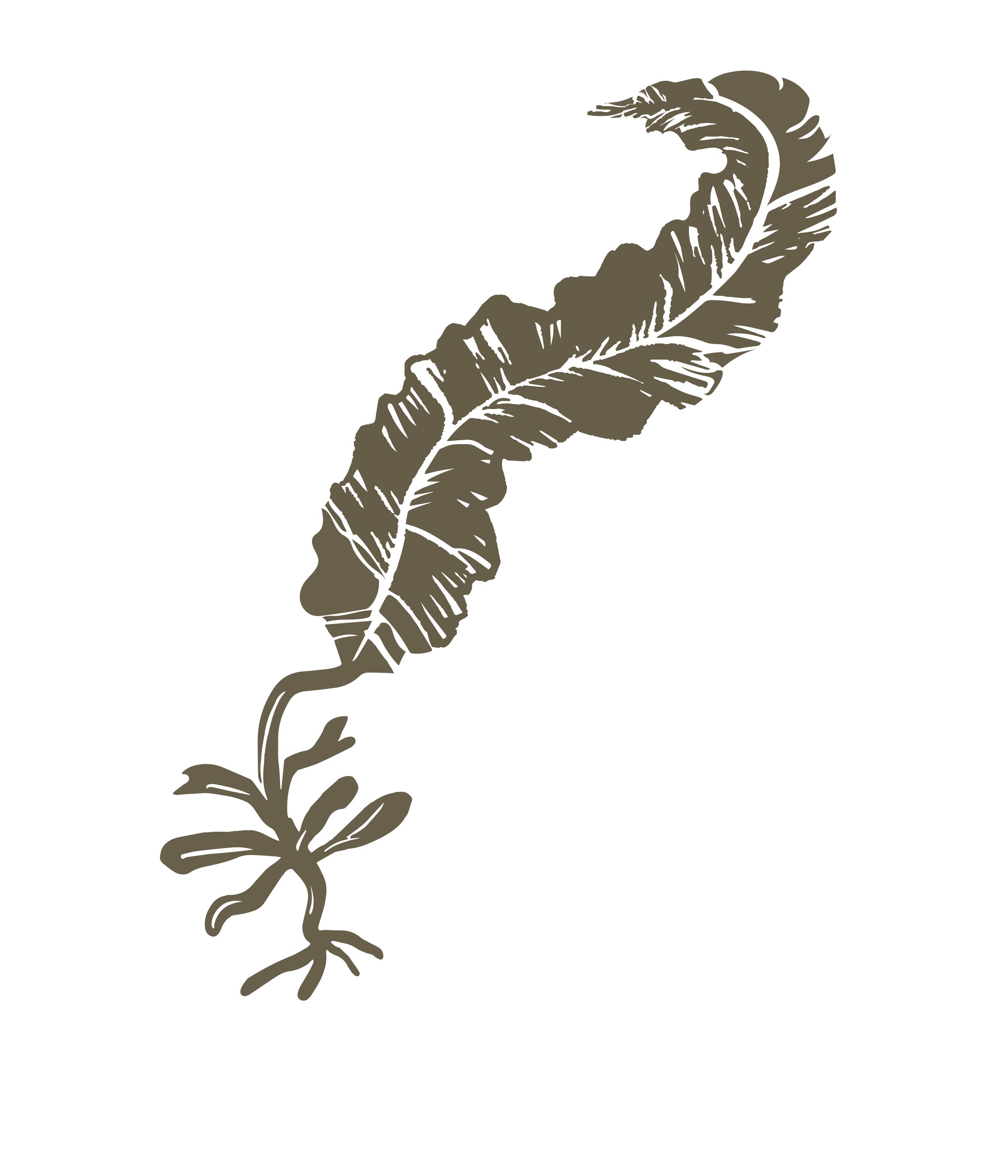 Seaweed Species 12 Artboard 12.jpg