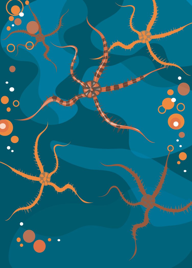 Brittle Star