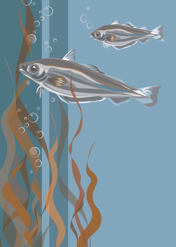 Whiting