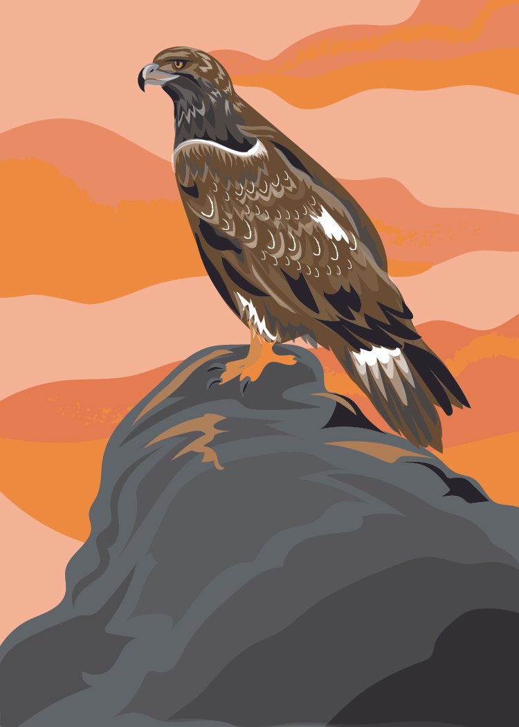 Golden Eagle