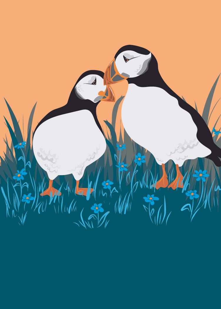 Puffin