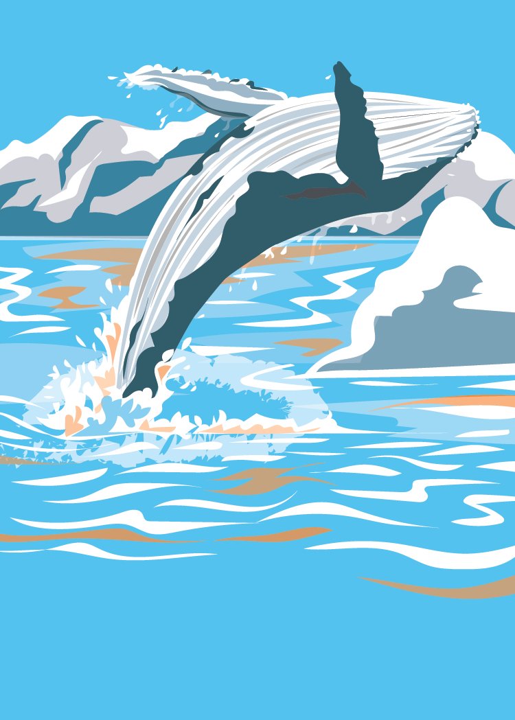 Humpback Whale