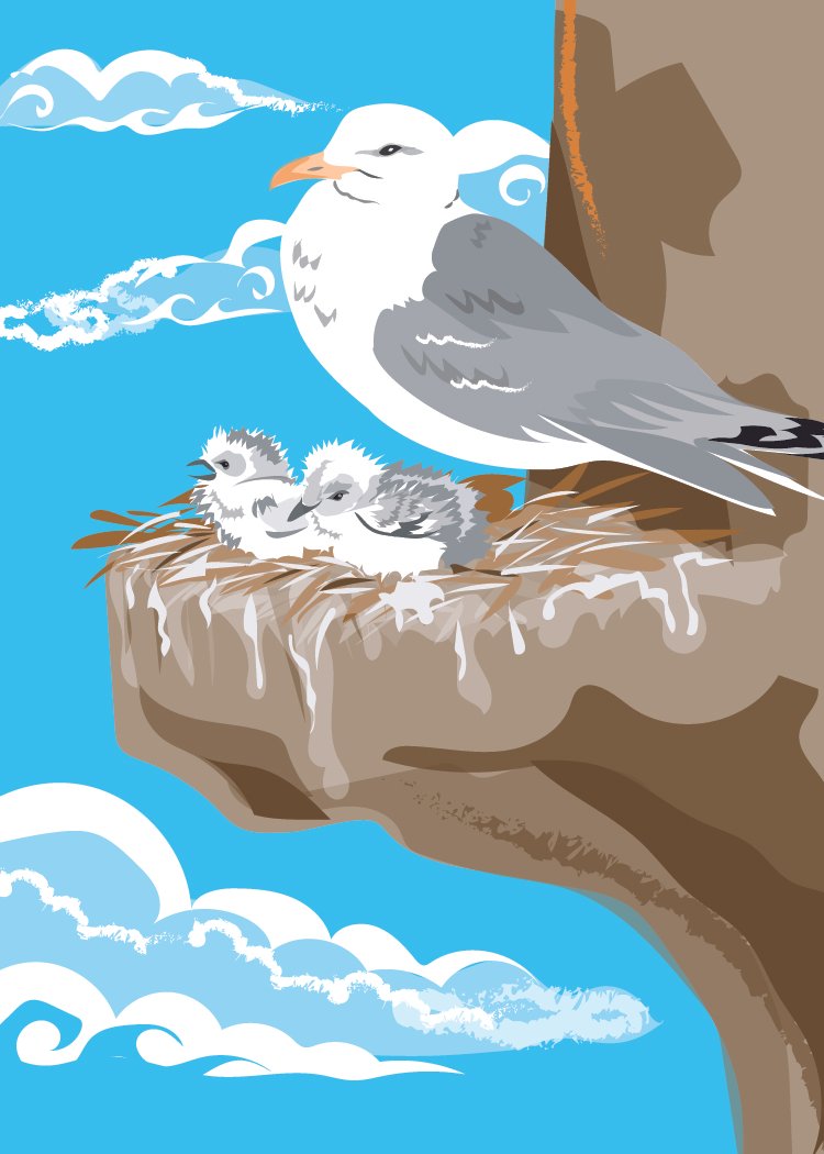 Kittiwake
