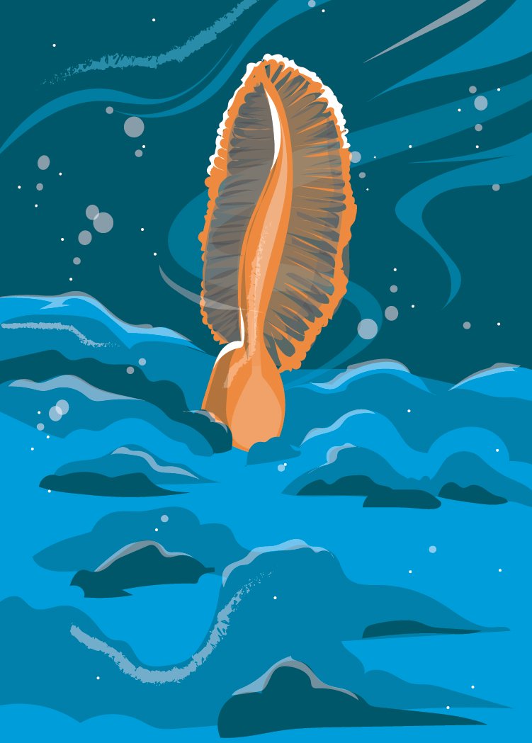Sea Pen