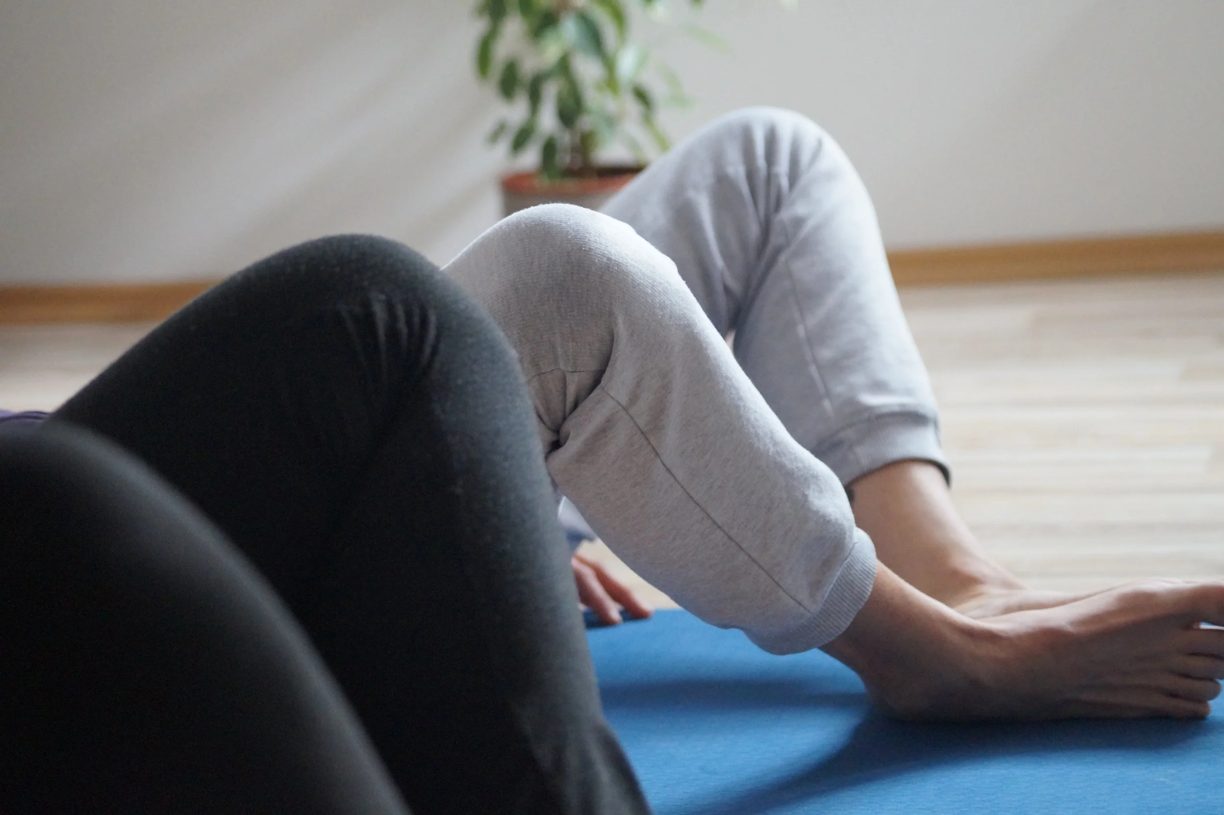 aufgestaute emotionen loswerden, verspannung lösen, TRE Gruppensitzung