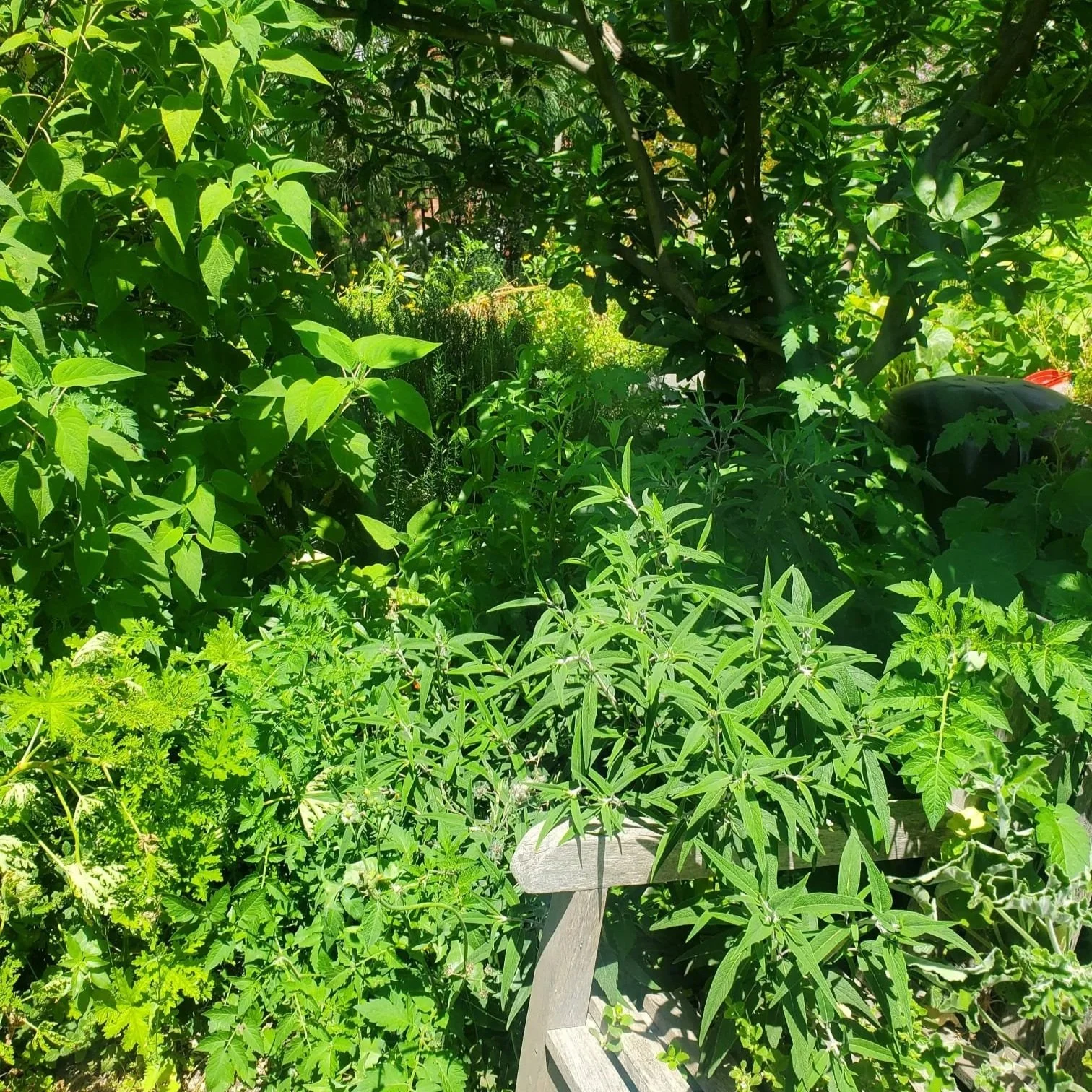 To Prune or Not to Prune