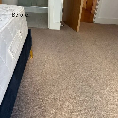 bedroom carpet before.jpg