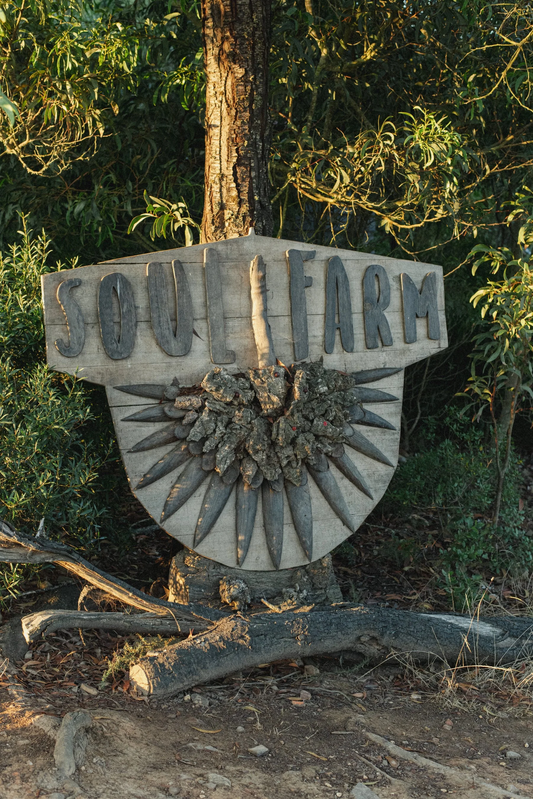 Soulfarm Sept 2025 - Fotograaf Birgit Sterckx-0378.jpg