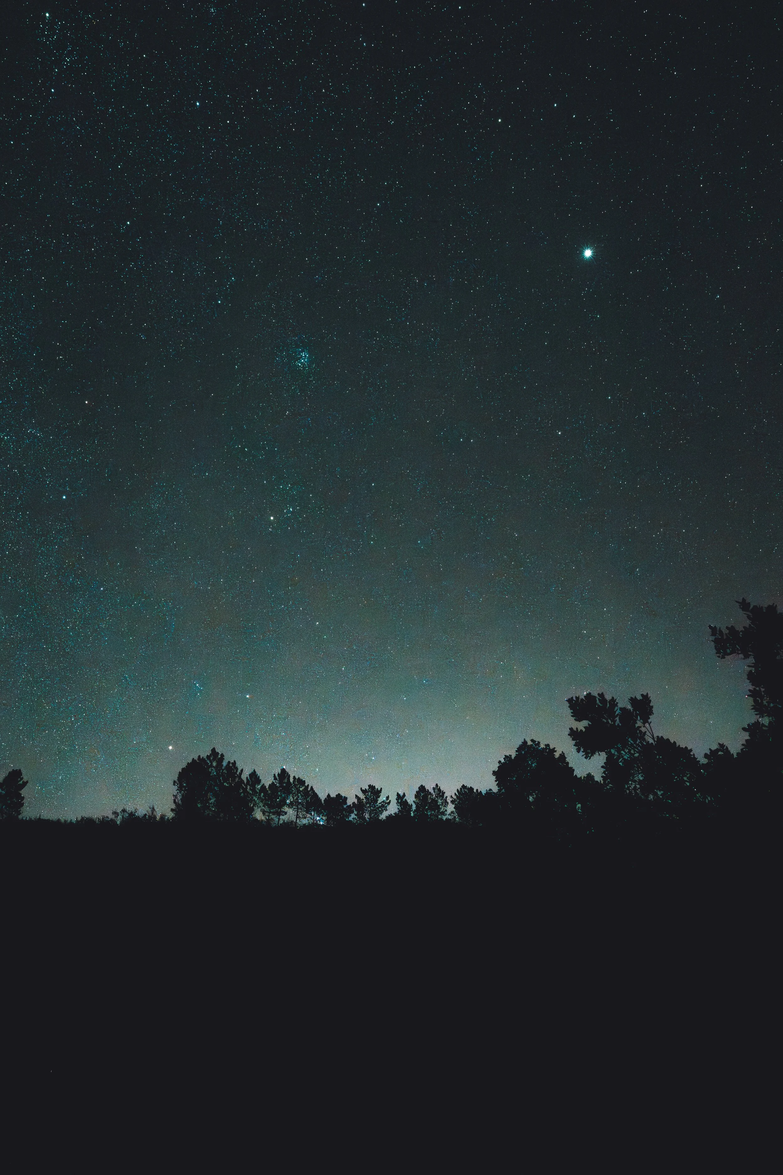 20231207-DSC04292-Enhanced-NR (1).jpg